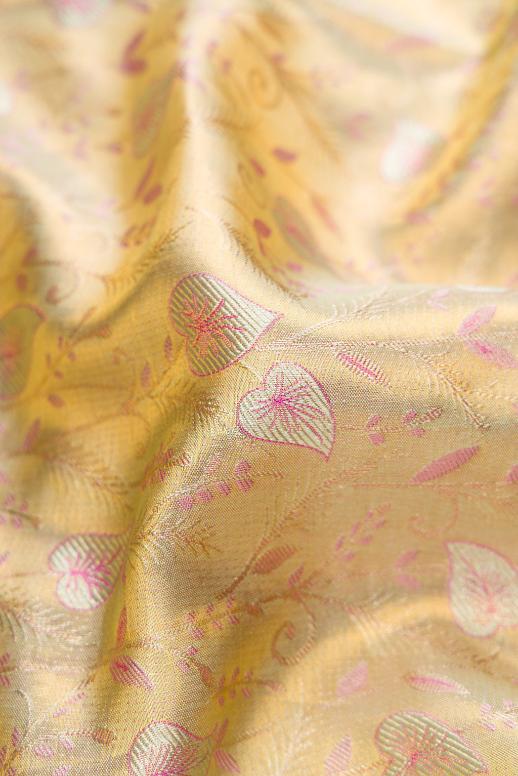 Close up of Gold Dual Tone Kanjivaram Tissue Silk Saree with Zari Brocade on the body and Fancy Border.  displaying folds