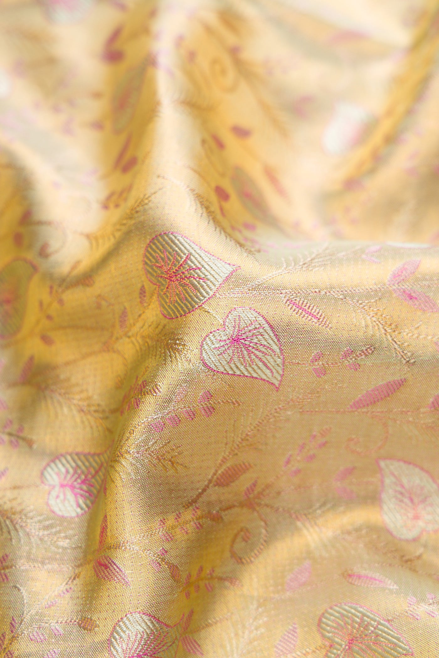 Close up of Gold Dual Tone Kanjivaram Tissue Silk Saree with Zari Brocade on the body and Fancy Border.  displaying folds