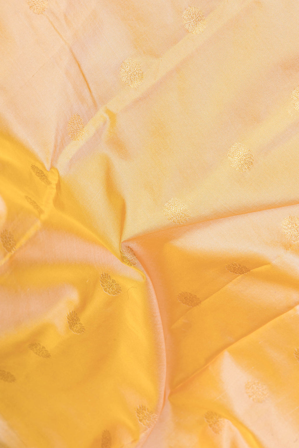 Close up of Sandal Paithani Silk Saree with Zari Butta on the body and Zari Border.  displaying folds