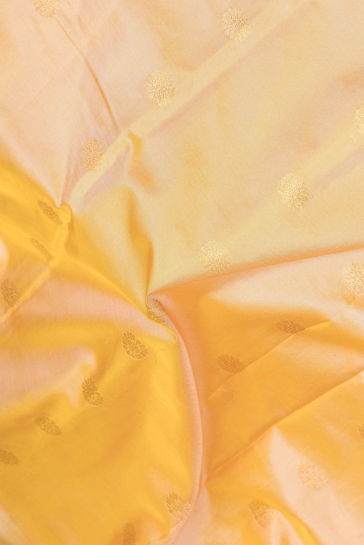 Close up of Sandal Paithani Silk Saree with Zari Butta on the body and Zari Border.  displaying folds