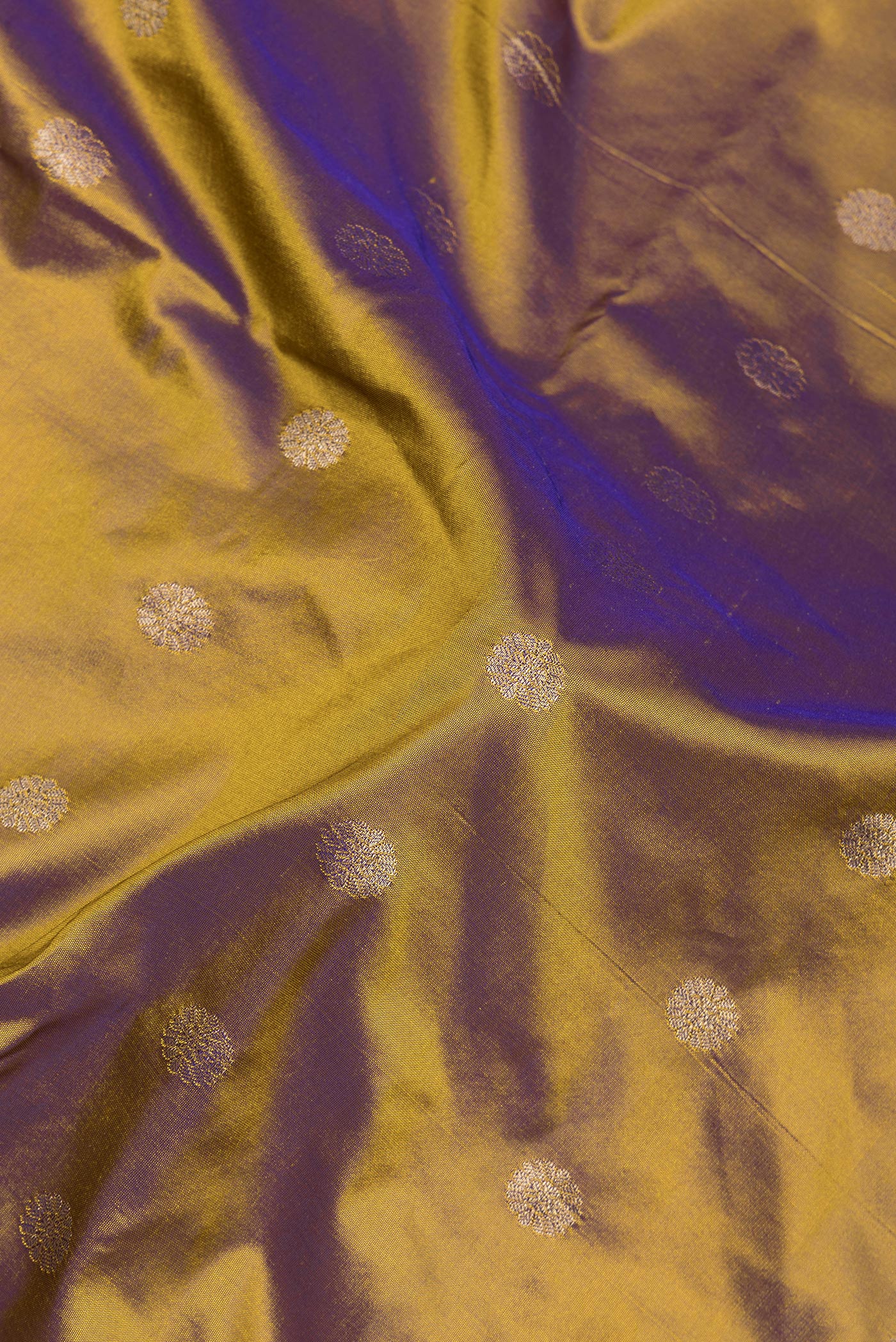 Close up of Gold Dual Tone Blended Paithani Silk Saree with Zari Butta on the body and Zari Border.  displaying folds
