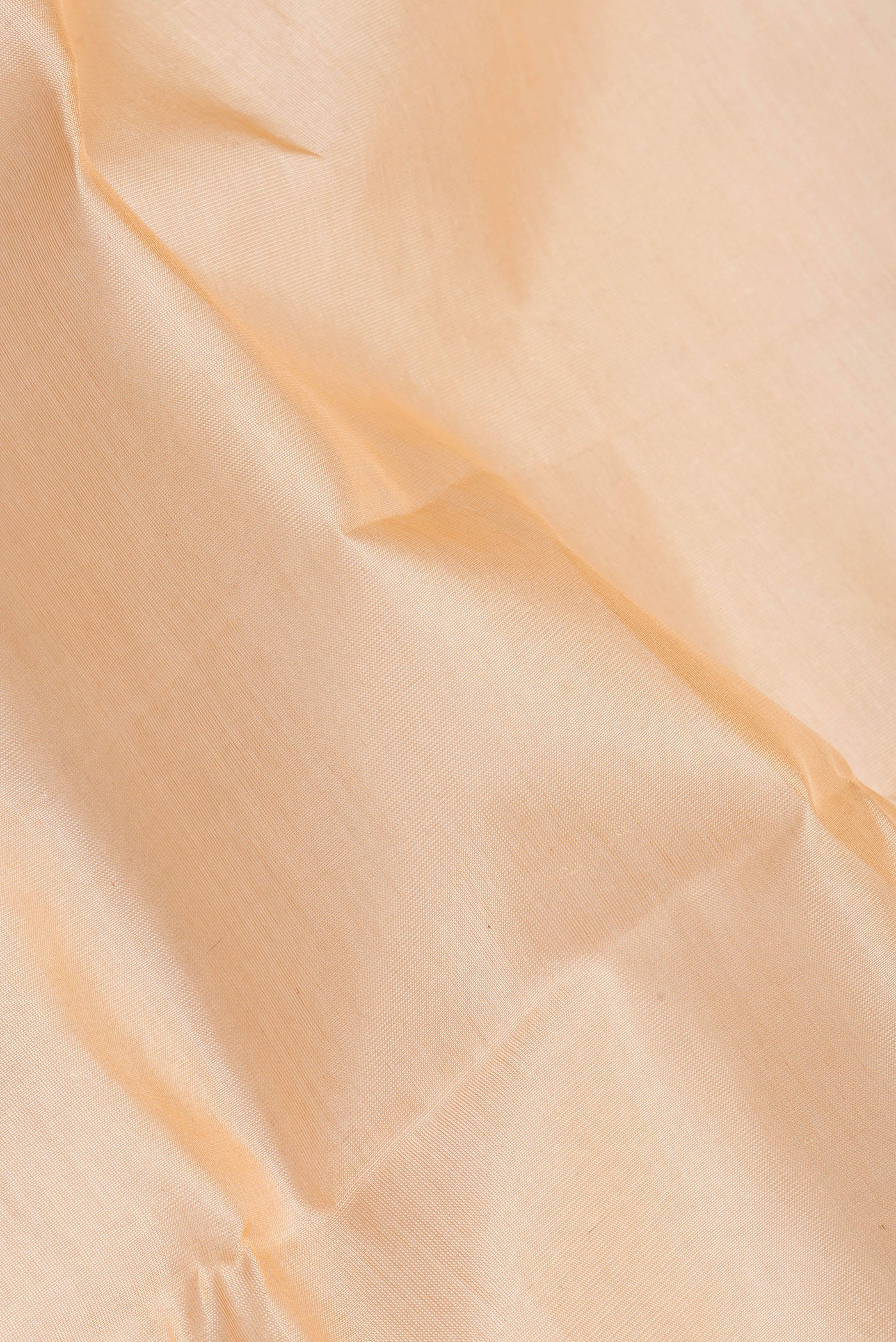 Close up of Sandal Silk Cotton Saree with Plain Body and Zari Border.  displaying folds