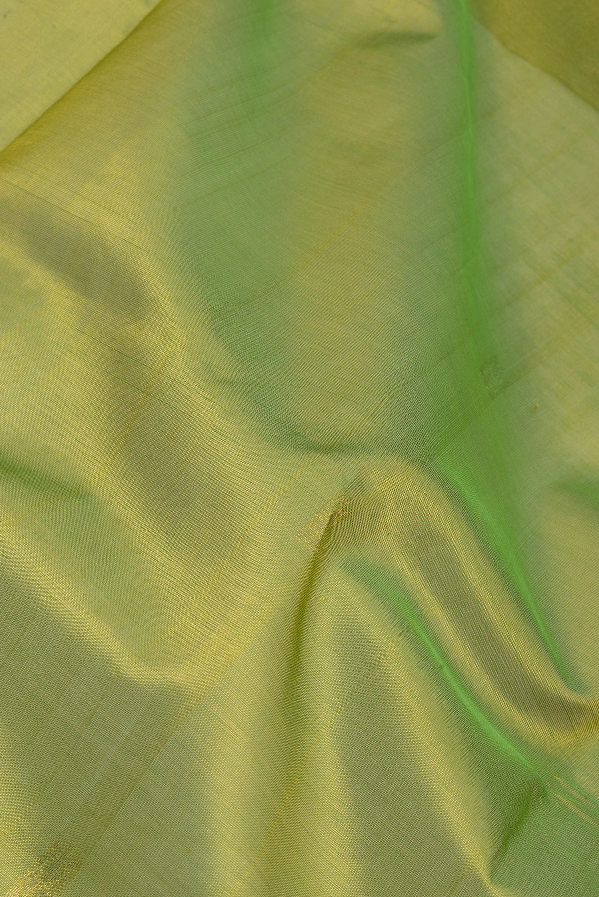 Close up of Green Silk Cotton Saree with Zari Butta on the body and Zari Border.  displaying folds