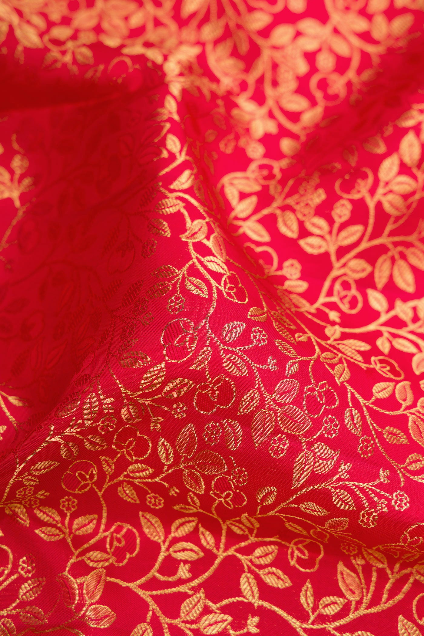 Close up of Red Kanchipuram Silk Saree with Zari Brocade on the body and Zari Border.  displaying folds