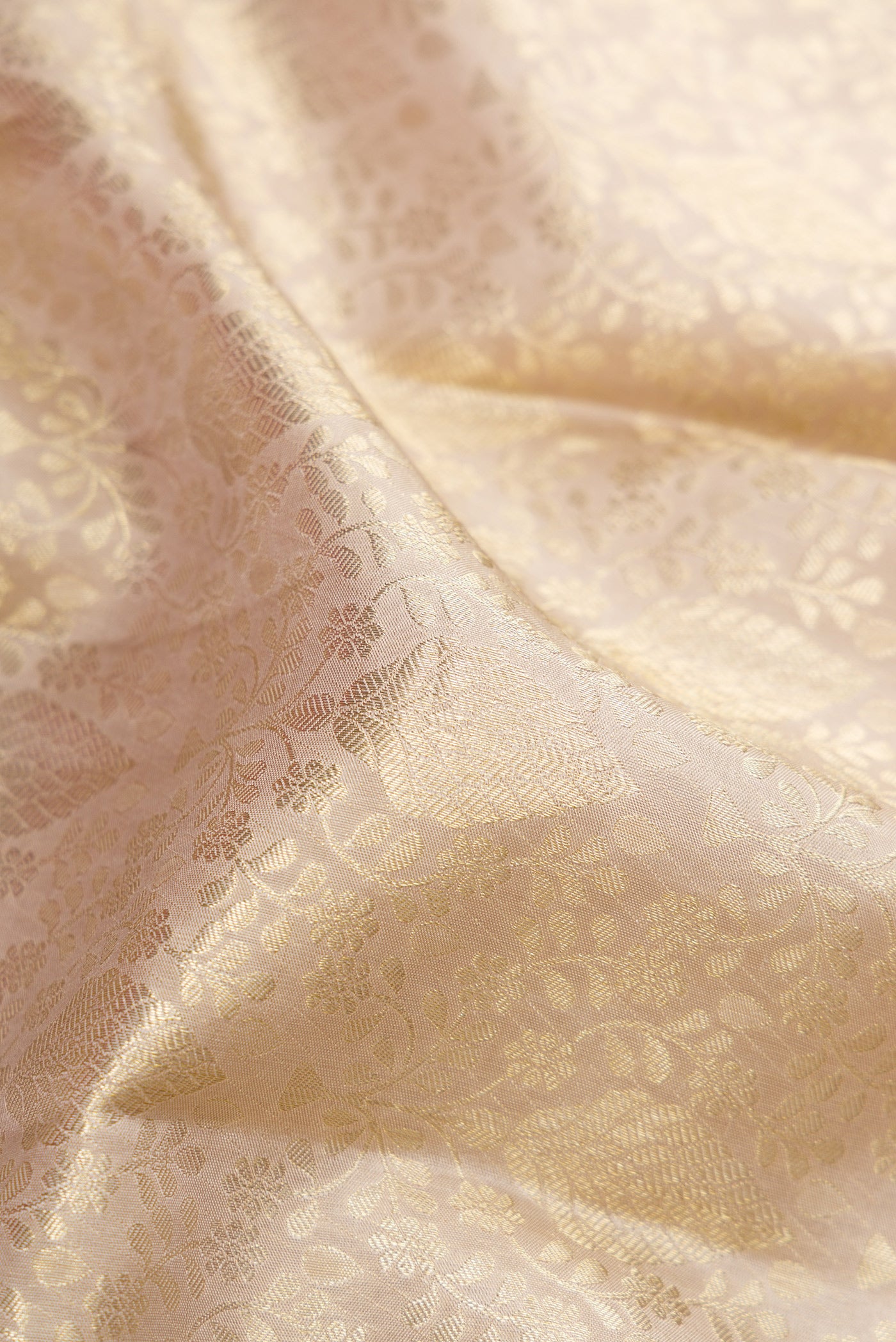 Close up of Off White Kanchipuram Silk Saree with Zari Brocade on the body and Zari Border.  displaying folds
