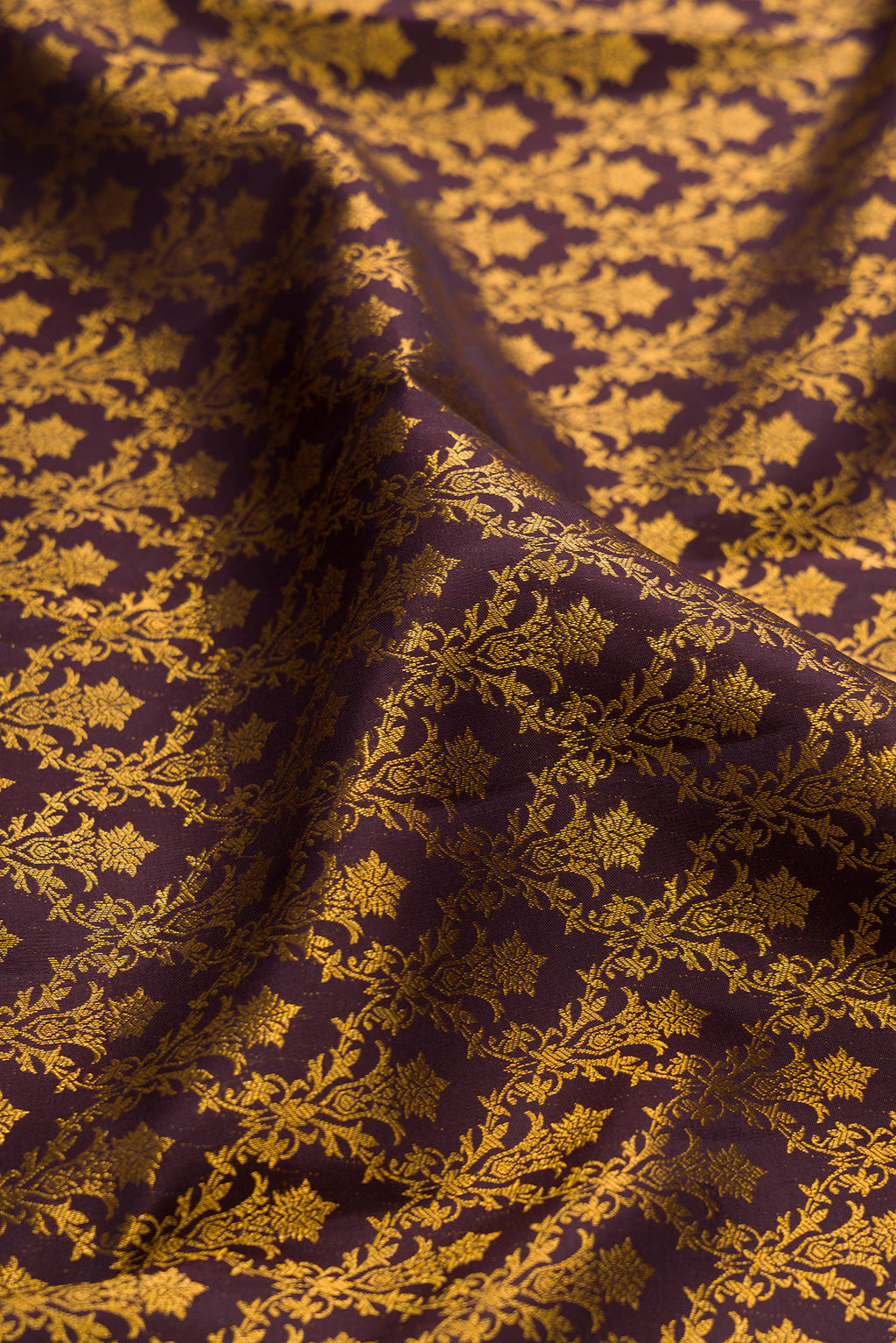 Close up of Coffee Brown Kanchipuram Silk Saree with Zari Brocade on the body and Zari Border.  displaying folds