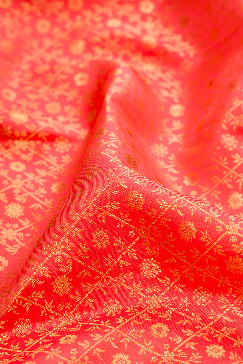 Close up of Coral Kanchipuram Silk Saree with Zari Brocade on the body and Zari Border.  displaying folds