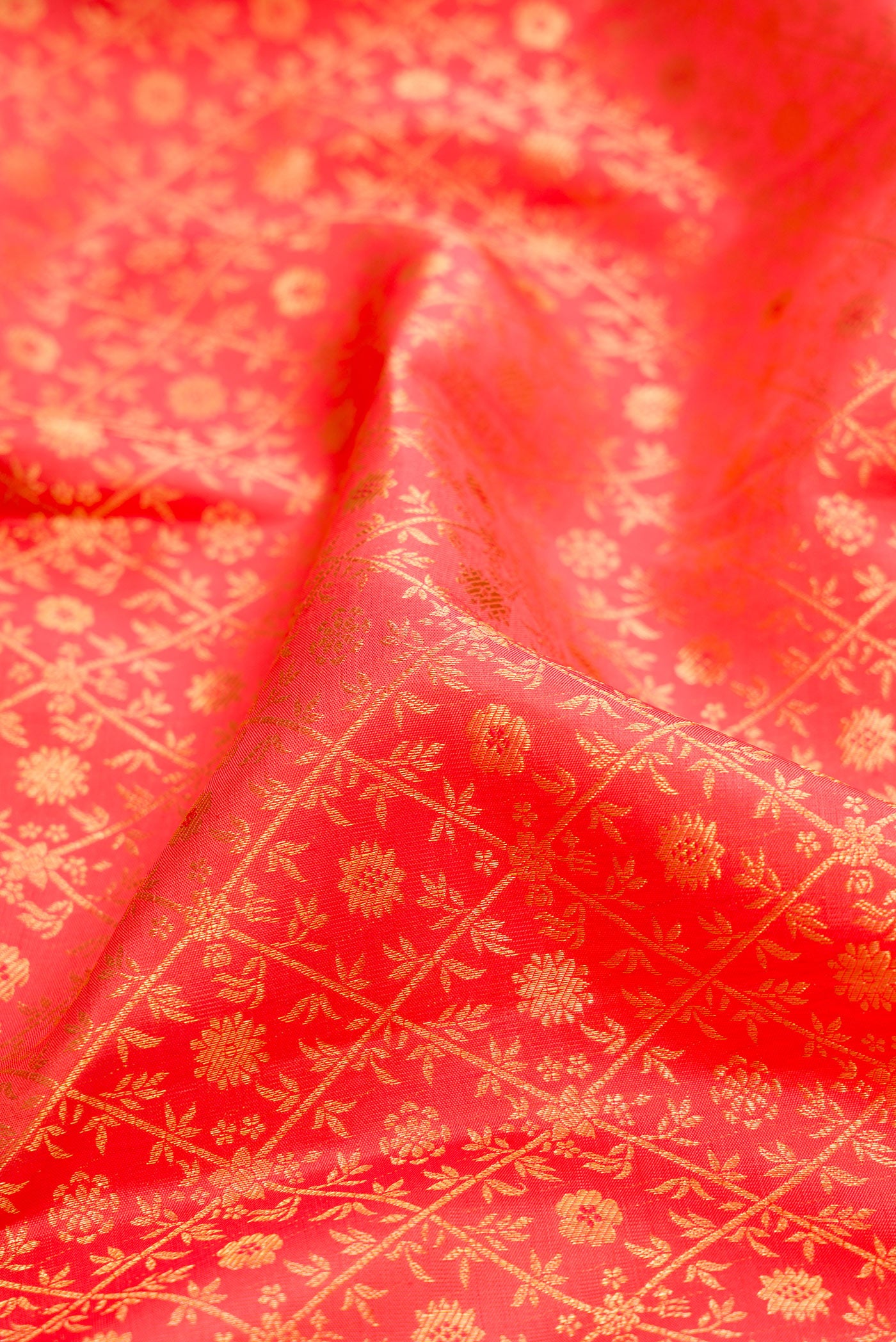 Close up of Coral Kanchipuram Silk Saree with Zari Brocade on the body and Zari Border.  displaying folds