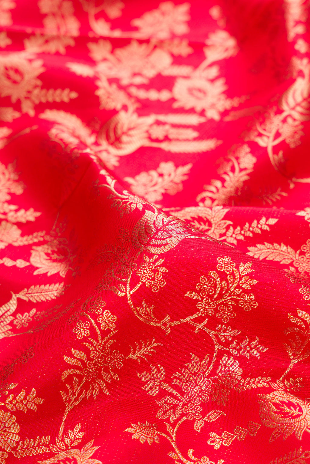Close up of Red Kanchipuram Silk Saree with Zari Brocade on the body and Zari Border.  displaying folds