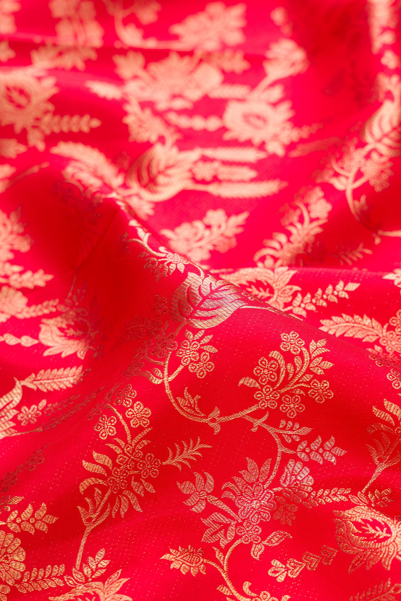 Close up of Red Kanchipuram Silk Saree with Zari Brocade on the body and Zari Border.  displaying folds