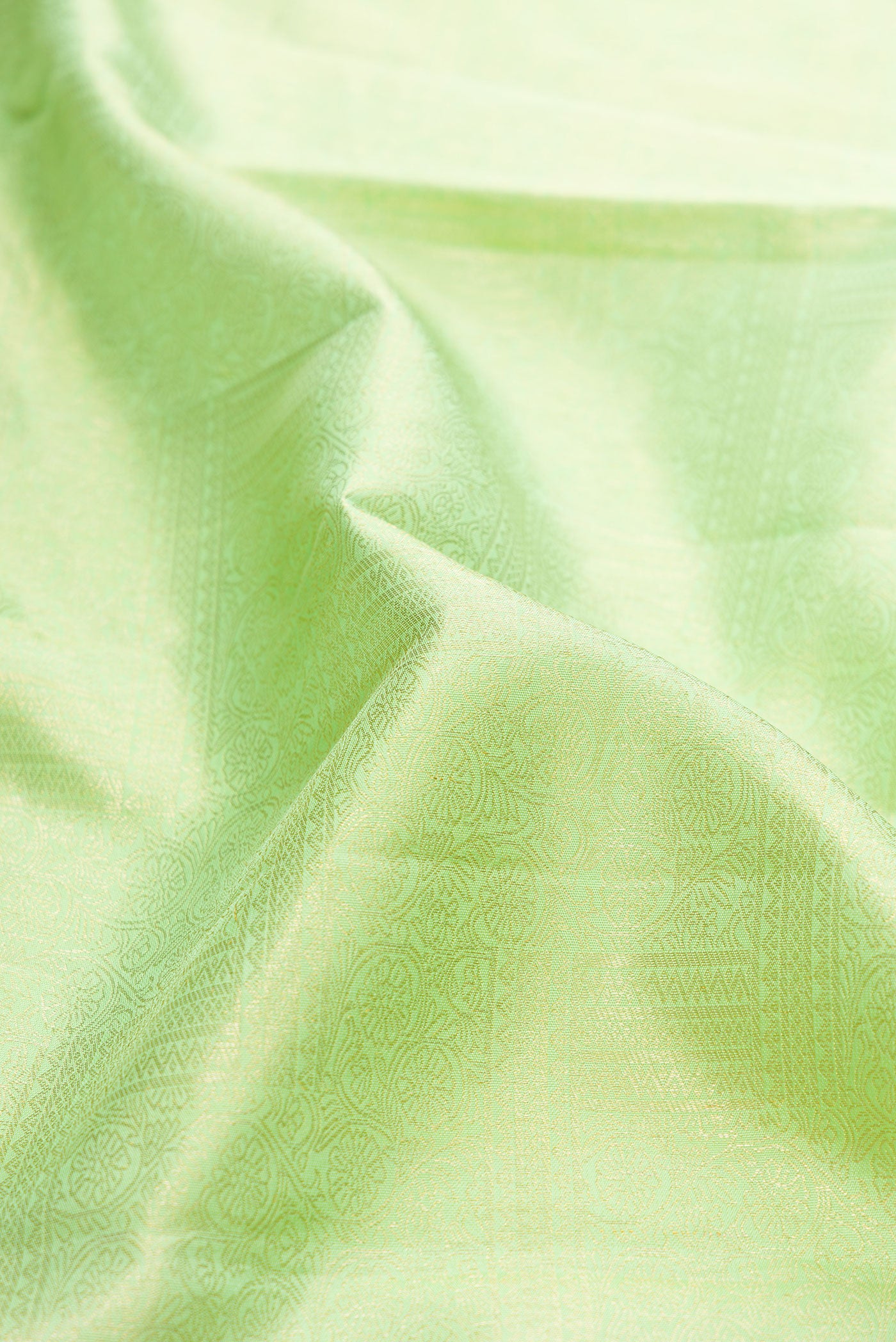 Close up of Mint Green Kanjivaram Silk Saree with Zari Brocade on the body and Zari Border.  displaying folds