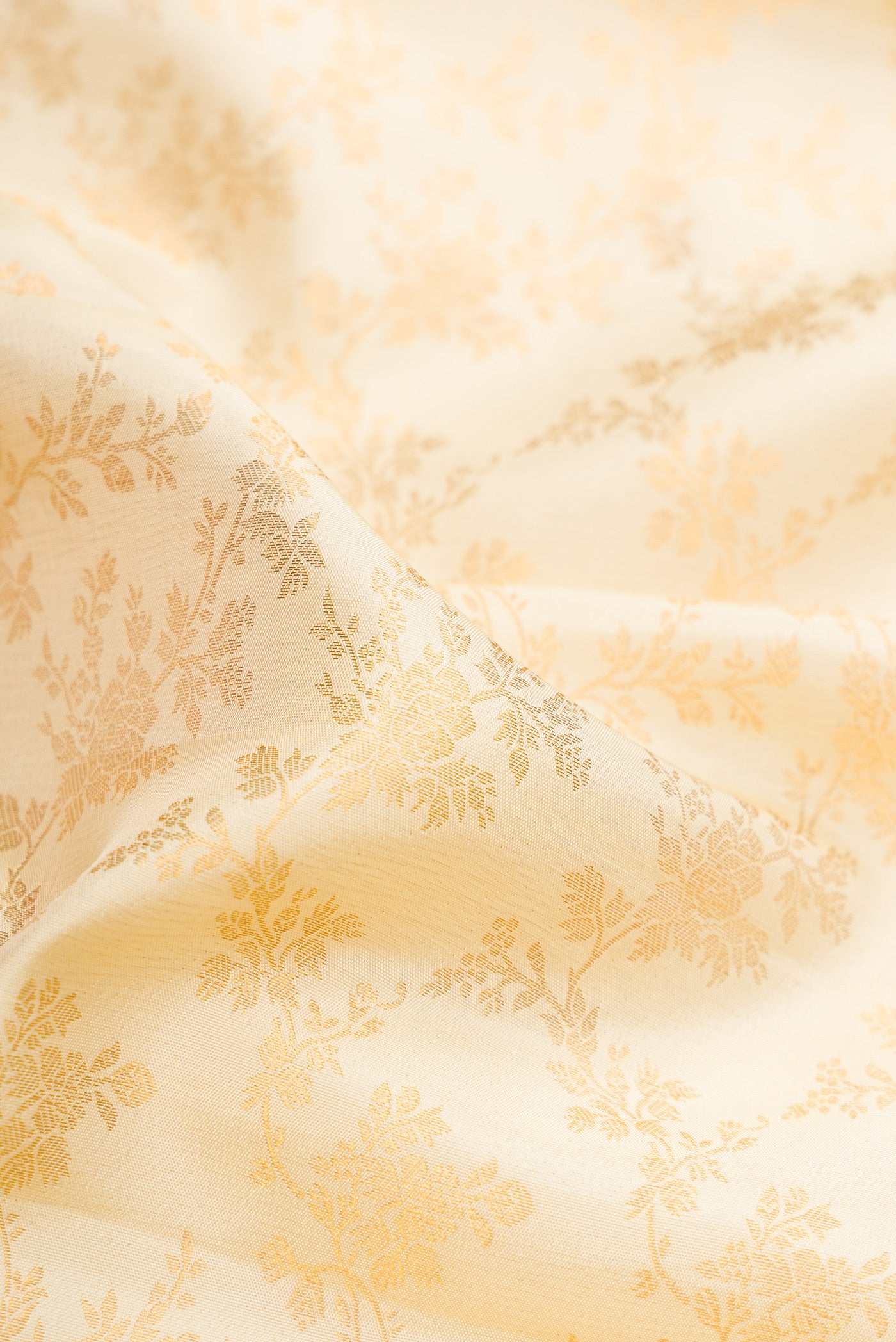 Close up of Off White Kanjivaram Silk Saree with Zari Brocade on the body and Zari Border.  displaying folds