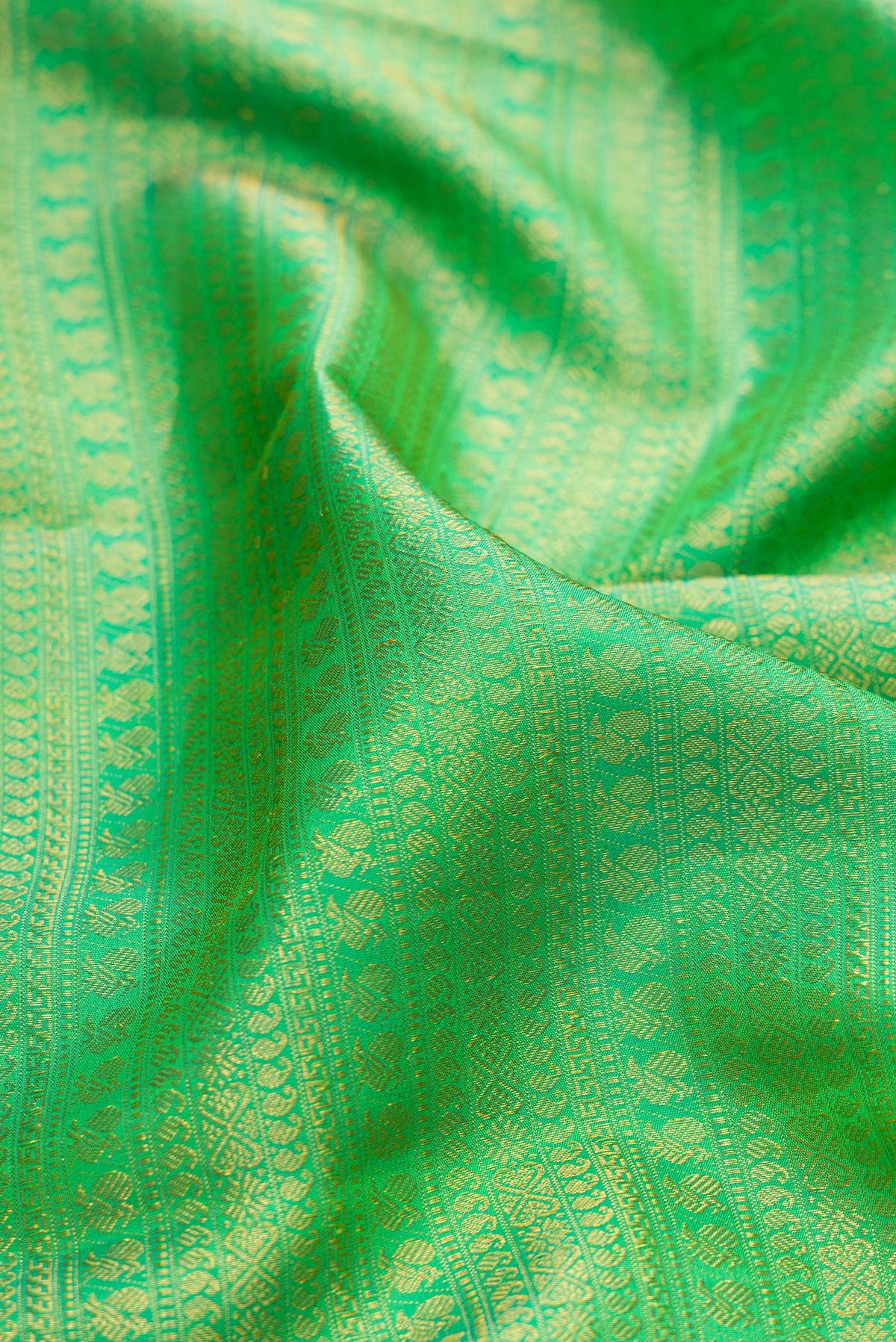 Close up of Green Kanjivaram Silk Saree with Zari Brocade on the body and Zari Border.  displaying folds