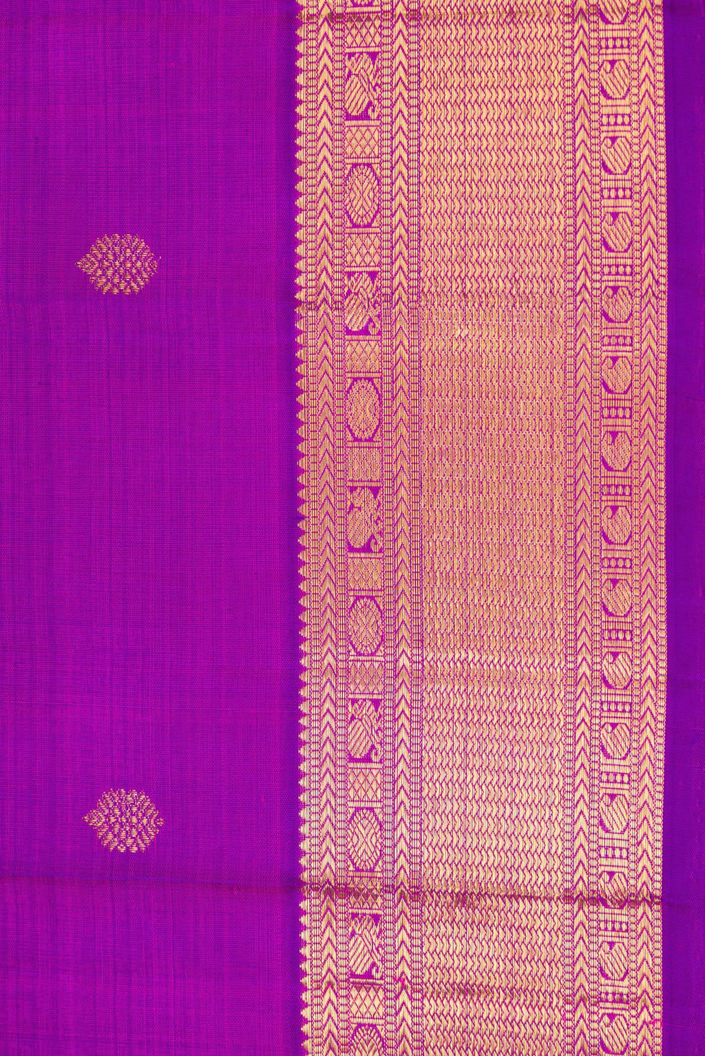 Border image of Pure Silk Pure Zari Magenta Dual Tone Kanjivaram Saree with Zari Butta on the body and Zari Border. 