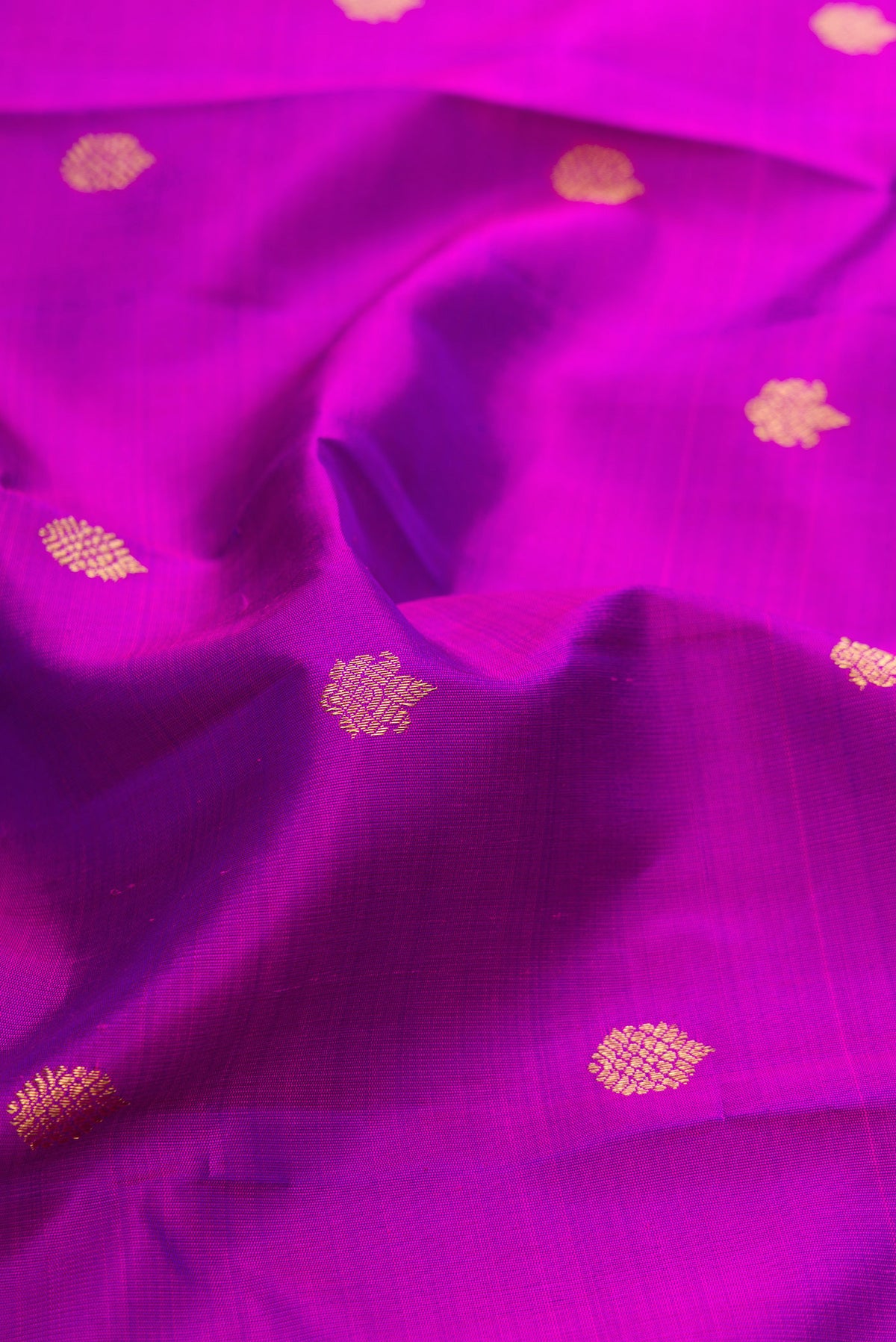 Close up of Pure Silk Pure Zari Magenta Dual Tone Kanjivaram Saree with Zari Butta on the body and Zari Border.  displaying folds