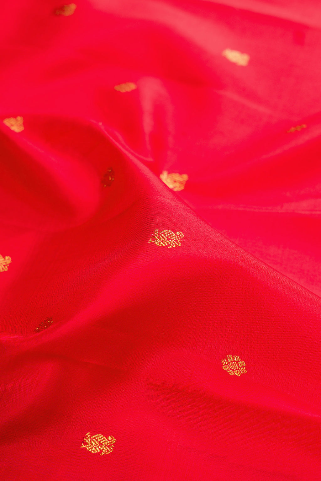 Close up of Red Kanjivaram Silk Saree with Zari Butta on the body and Zari Border.  displaying folds