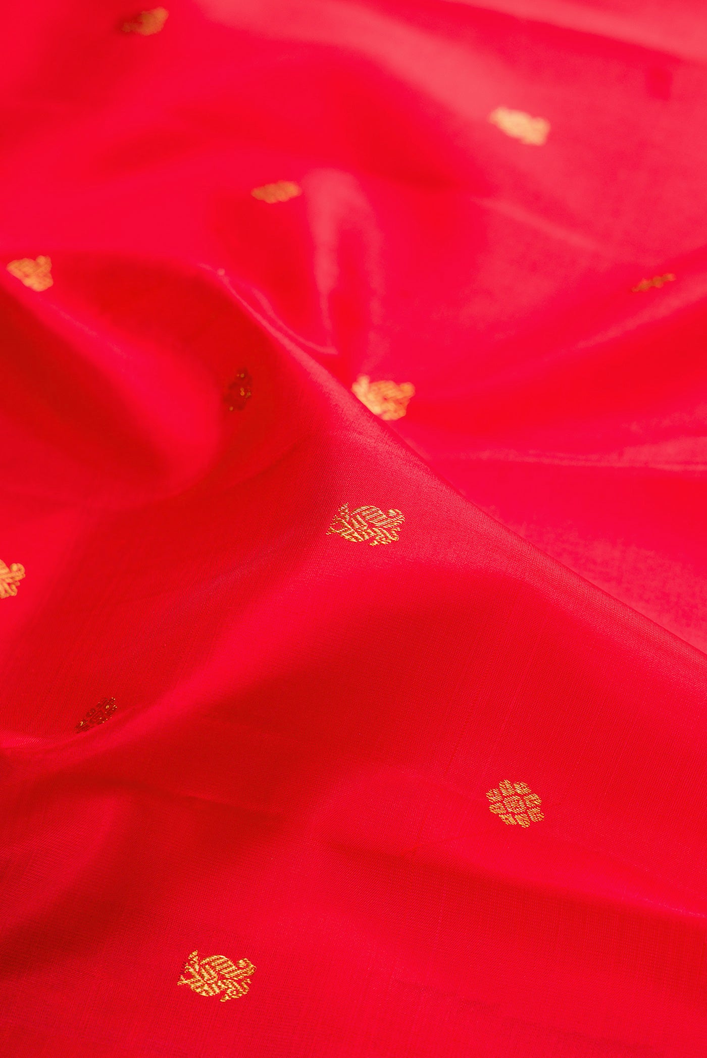 Close up of Red Kanjivaram Silk Saree with Zari Butta on the body and Zari Border.  displaying folds