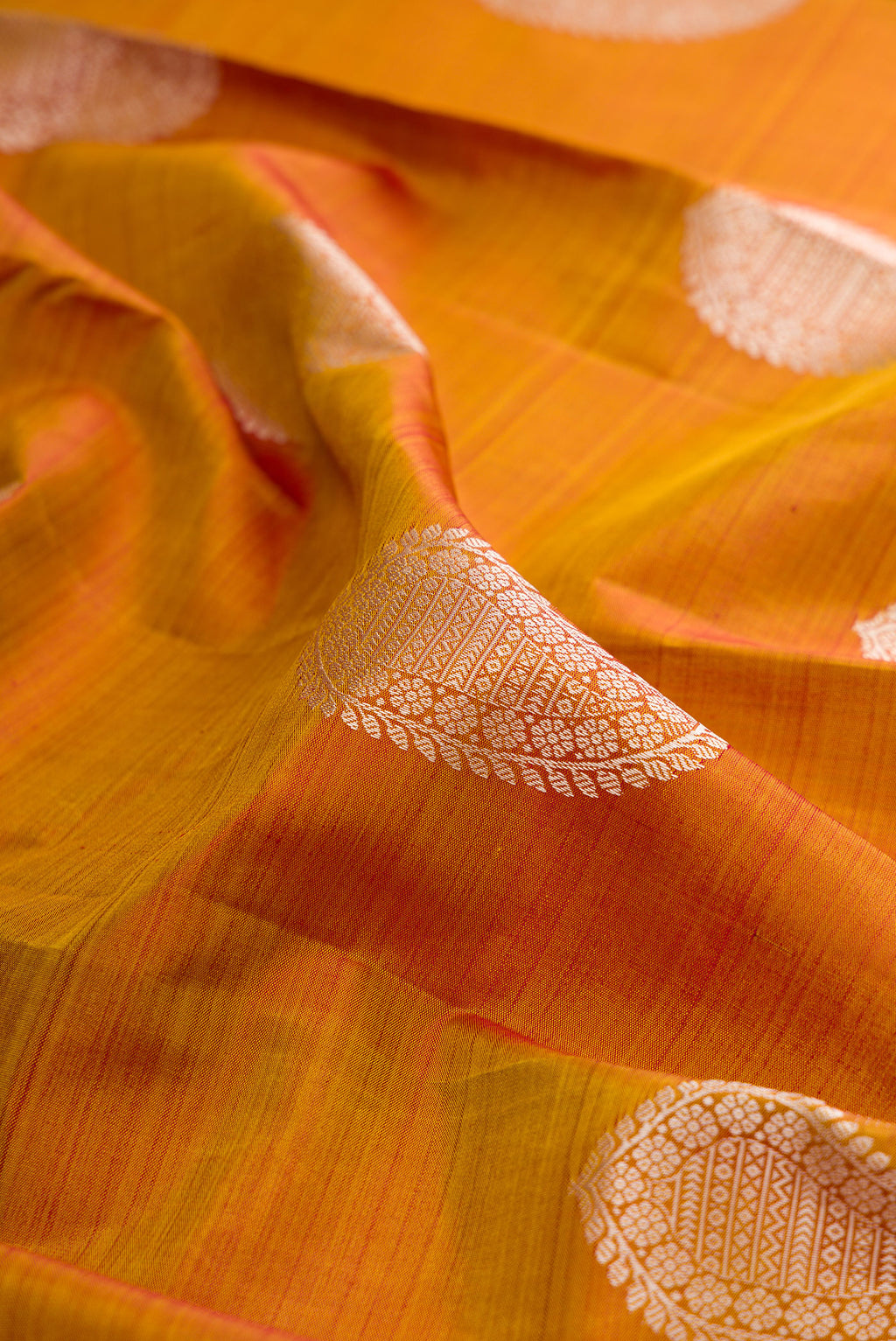 Close up of Mustard Kanjivaram Silk Saree with Thread Butta on the body and Thread Border.  displaying folds