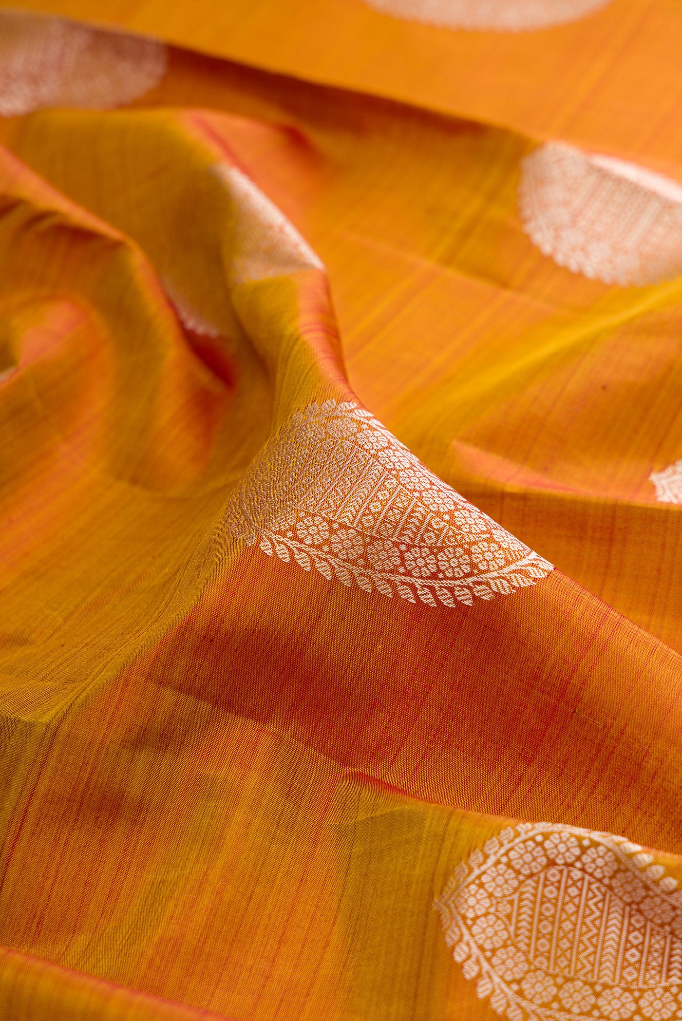 Close up of Mustard Kanjivaram Silk Saree with Thread Butta on the body and Thread Border.  displaying folds