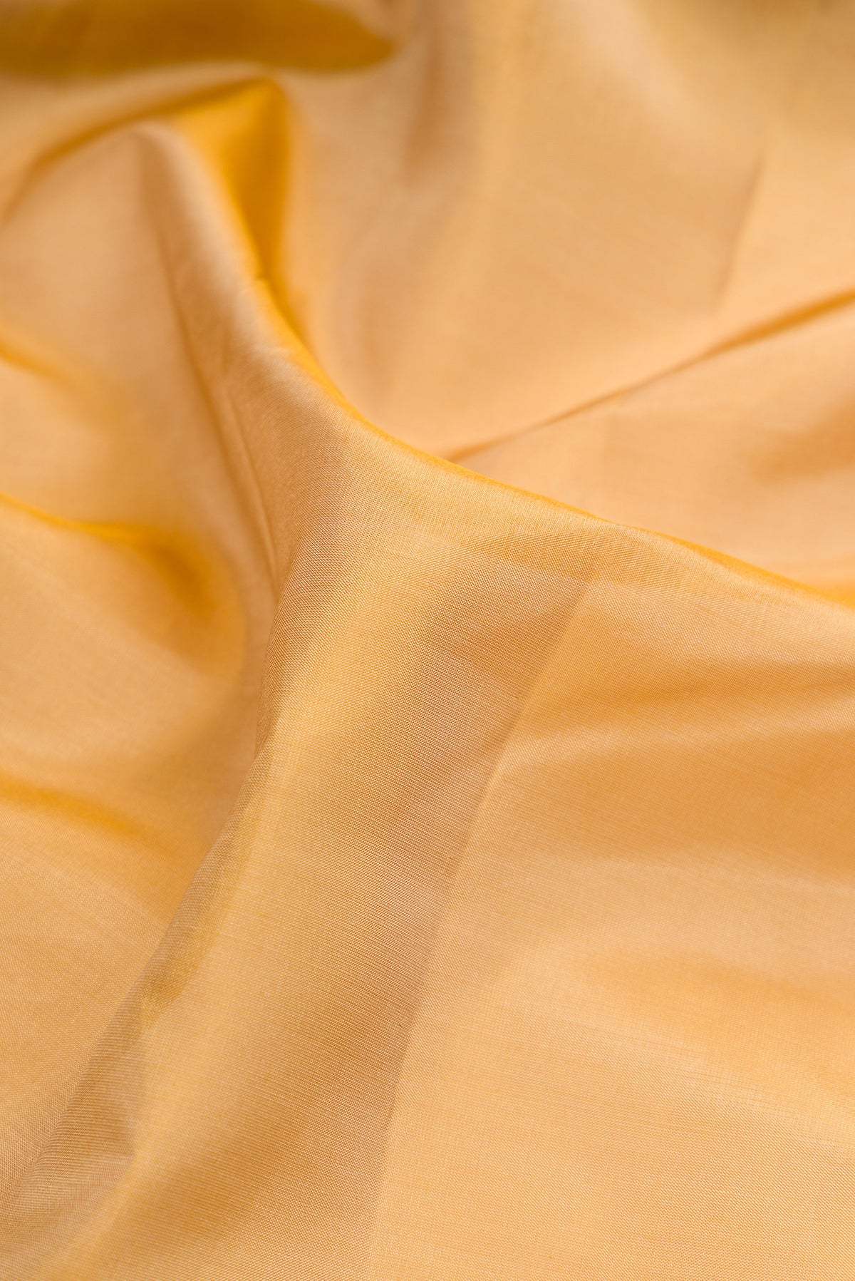 Close up of Pure Silk Sandal Kanjivaram Nine Yards Saree with Plain Body and Zari Border.  displaying folds