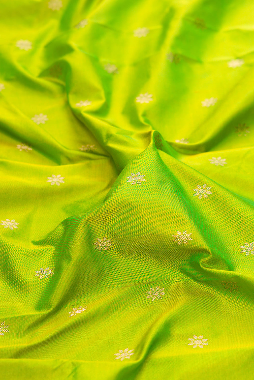 Close up of Parrot Green Paithani Silk Saree with Zari Butta on the body and Zari Border.  displaying folds