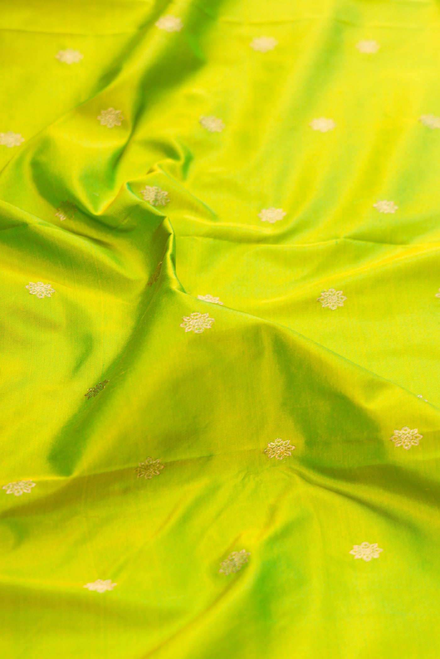 Close up of Parrot Green Paithani Silk Saree with Zari Butta on the body and Zari Border.  displaying folds