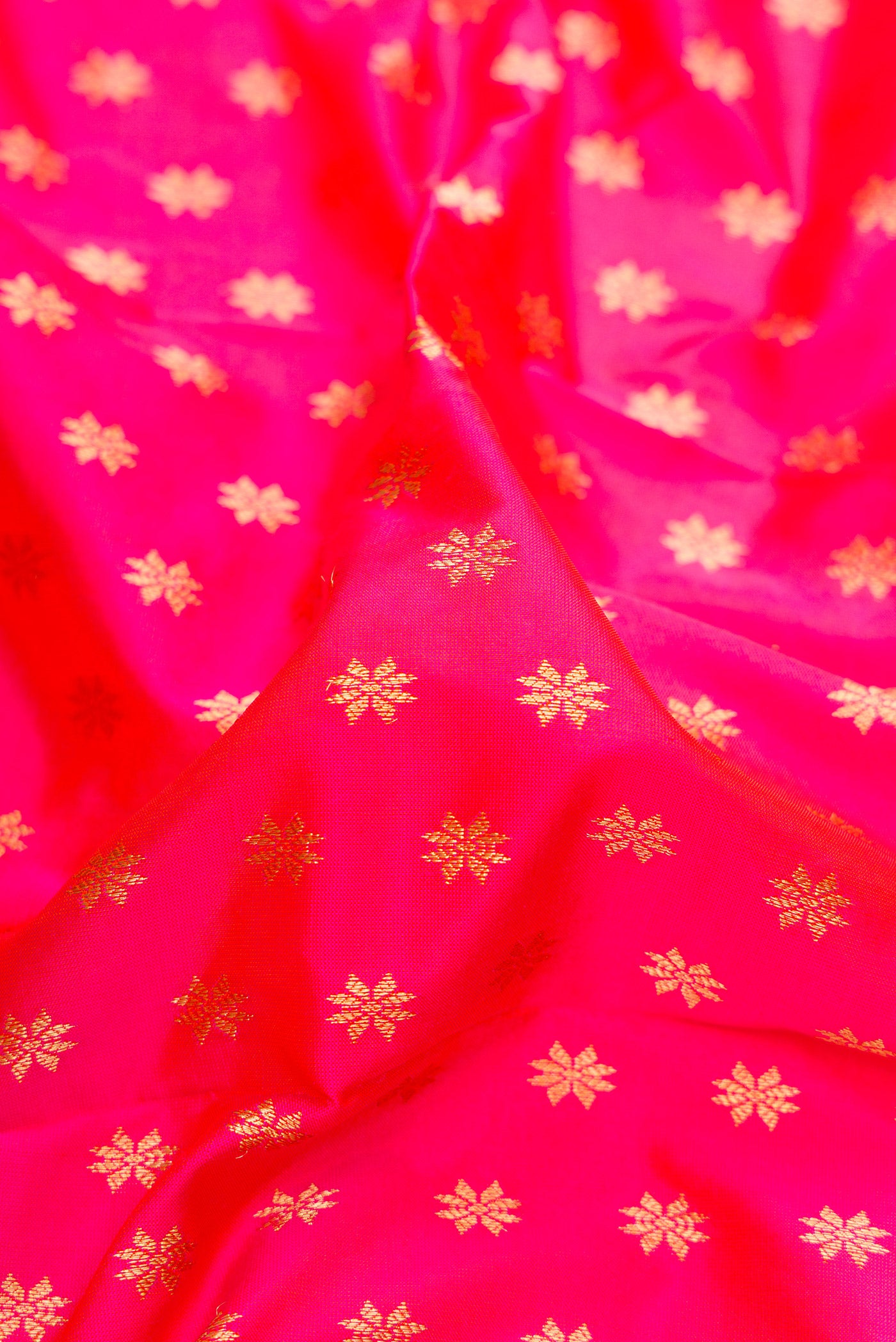 Close up of Pink Paithani Silk Saree with Zari Butta on the body and Zari Border.  displaying folds