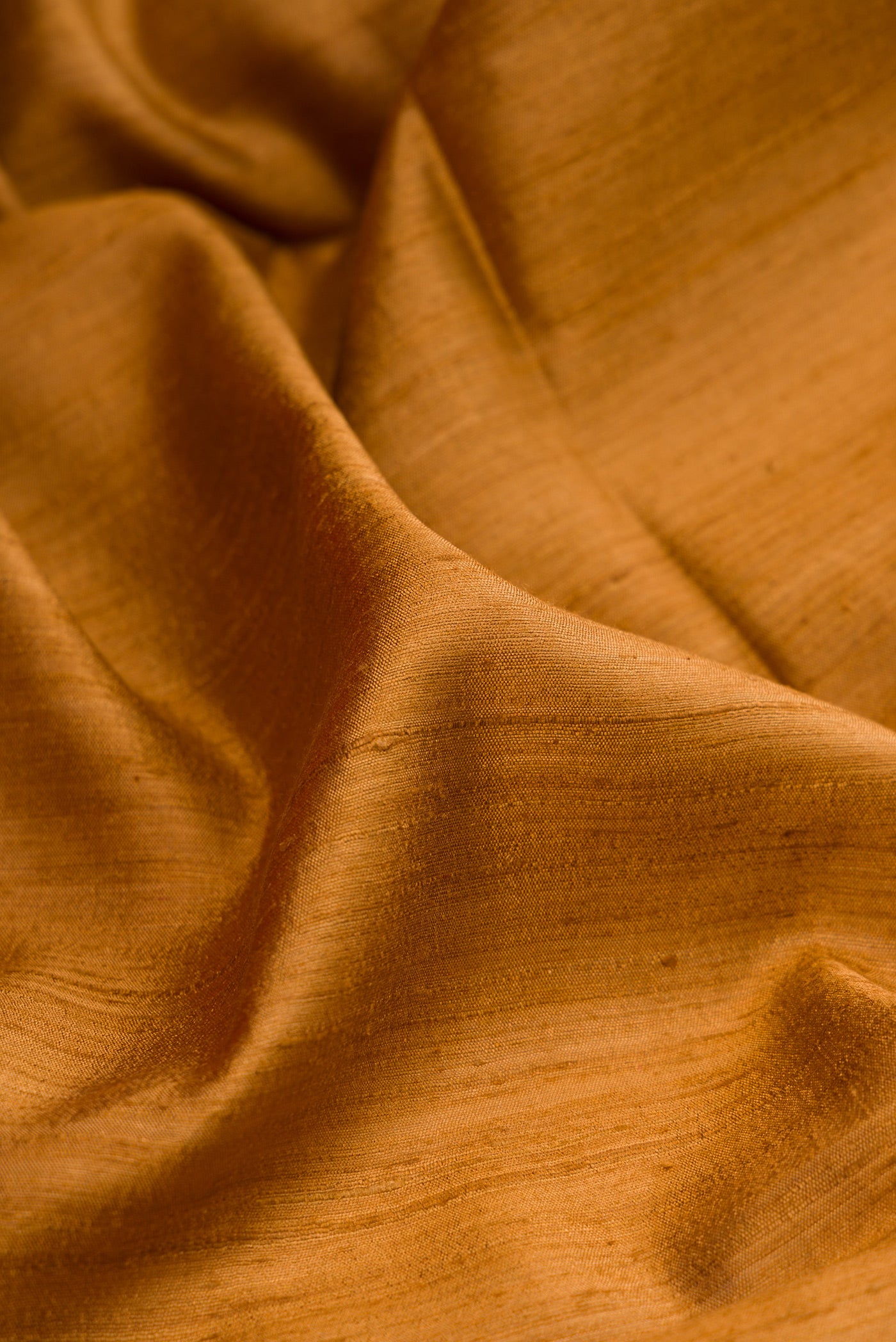Close up of Mustard Tussar Silk Saree with Plain Body and Zari Border.  displaying folds