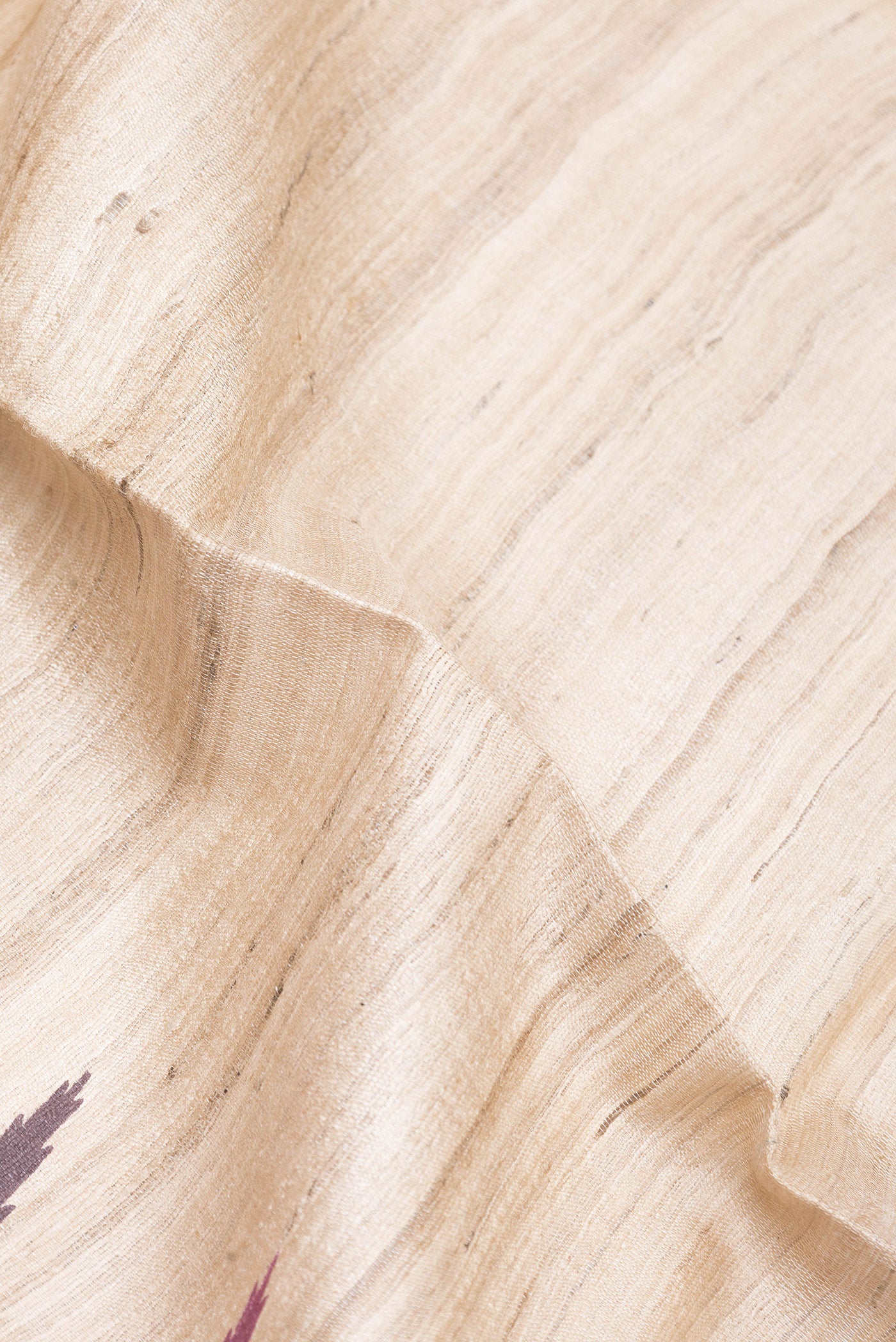 Close up of Beige Tussar Silk Saree with Plain Body and Temple Border.  displaying folds