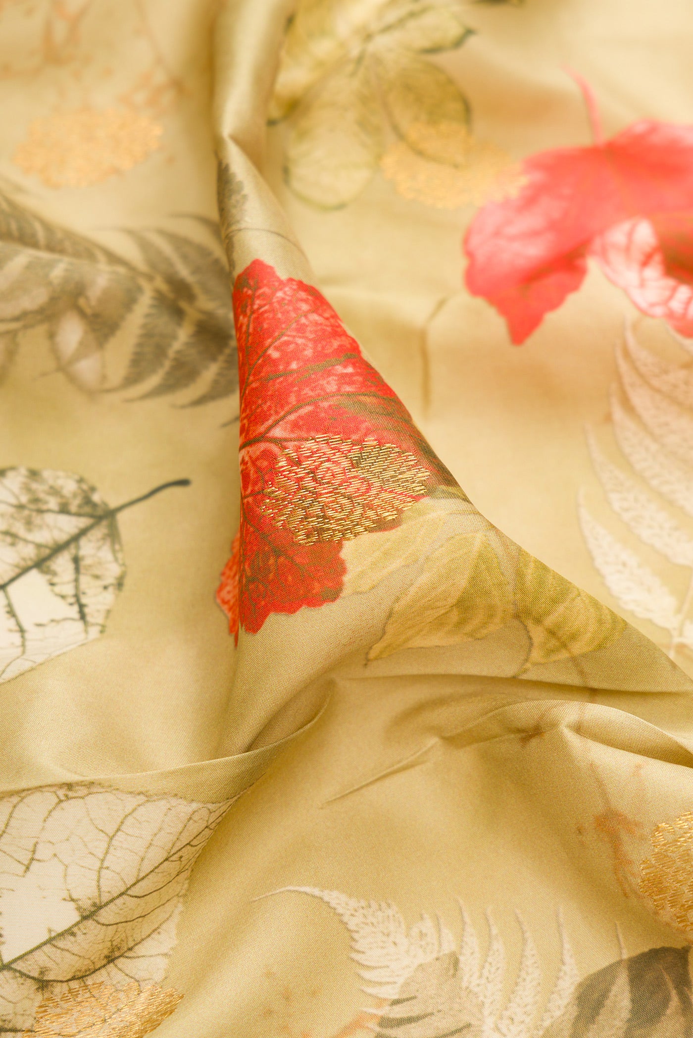 Close up of Light Green Kanjivaram Silk Saree with Floral Print on the body and Plain Border.  displaying folds