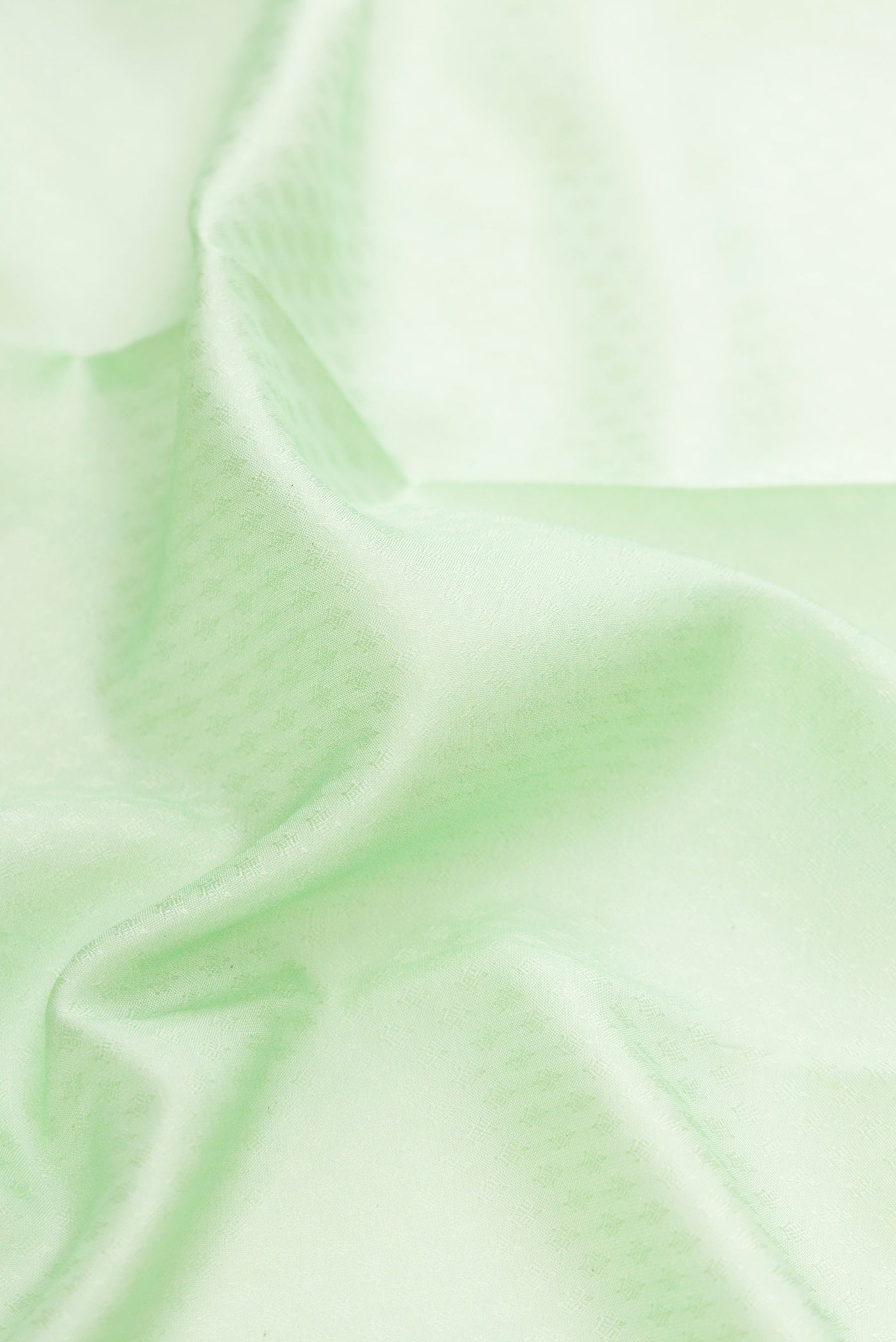 Close up of Light Green Dual Tone Kanchipuram Silk Saree with Floral Print on the body and Zari Border.  displaying folds