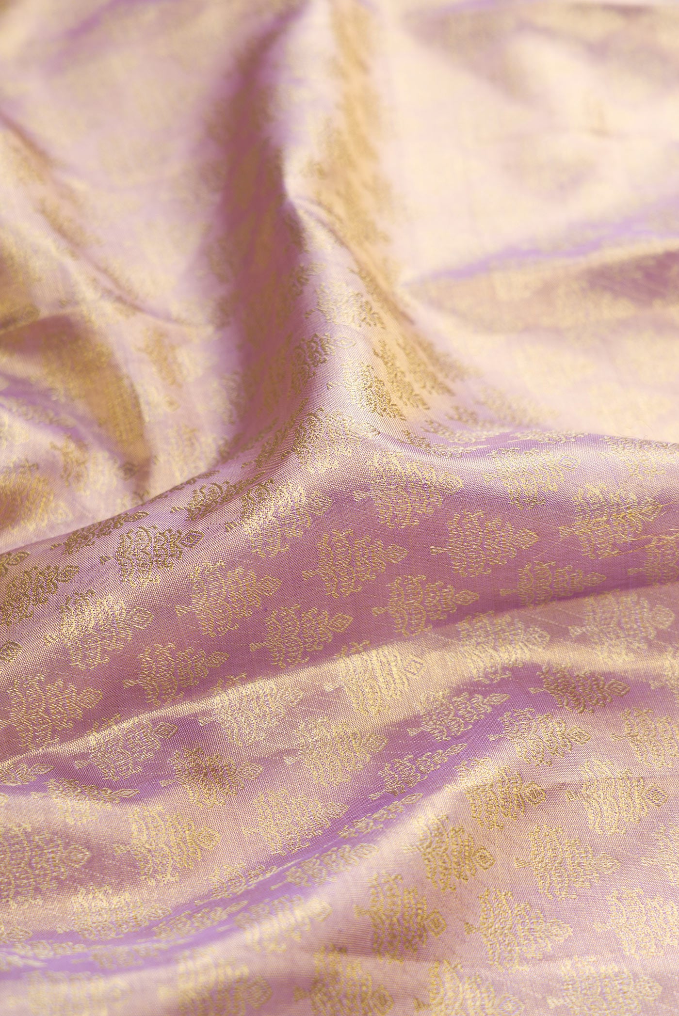 Close up of Lavender Dual Tone Kanchipuram Tissue Silk Saree with Zari Brocade on the body and Zari Border.  displaying folds