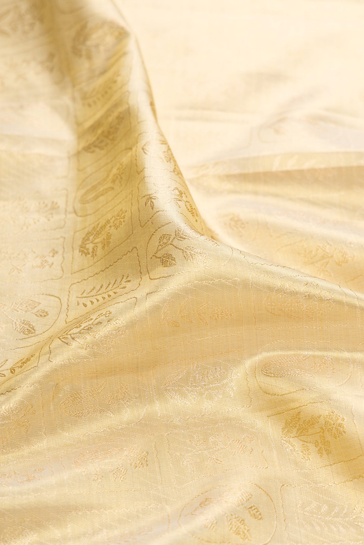 Close up of Gold Dual Tone Kanchipuram Tissue Silk Saree with Zari Brocade on the body and Zari Border.  displaying folds