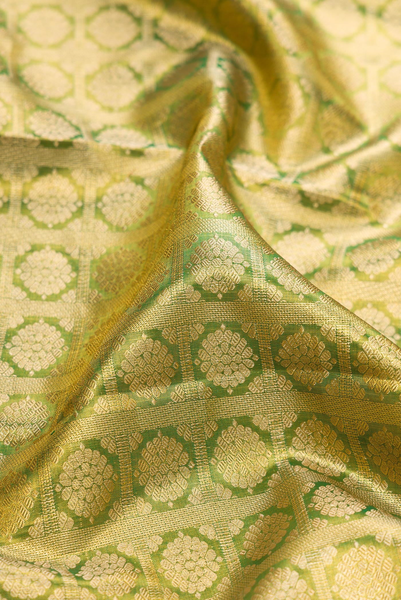 Close up of Green Dual Tone Kanchipuram Tissue Silk Saree with Zari Brocade on the body and Zari Border.  displaying folds