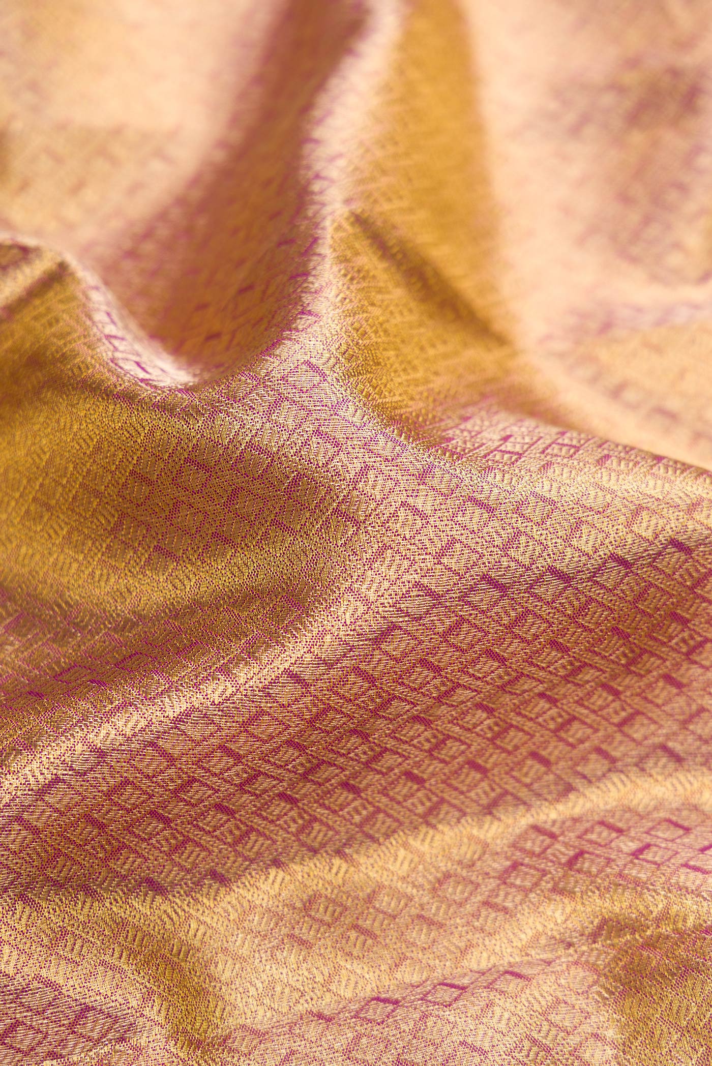 Close up of Gold Dual Tone Kanchipuram Tissue Silk Saree with Zari Brocade on the body and Fancy Border.  displaying folds