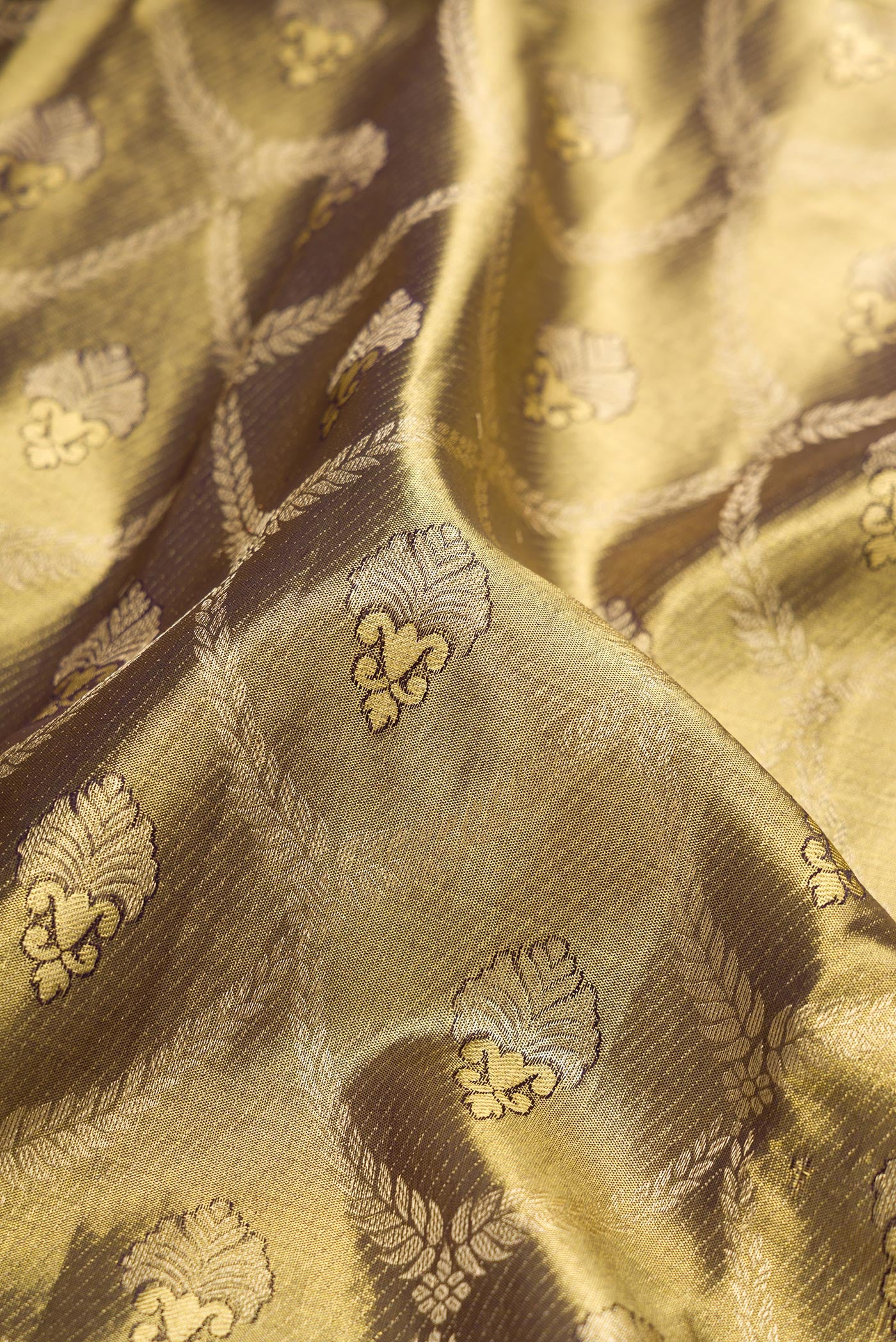 Close up of Mehandi Green Dual Tone Kanchipuram Tissue Silk Saree with Zari Brocade on the body and Zari Border.  displaying folds