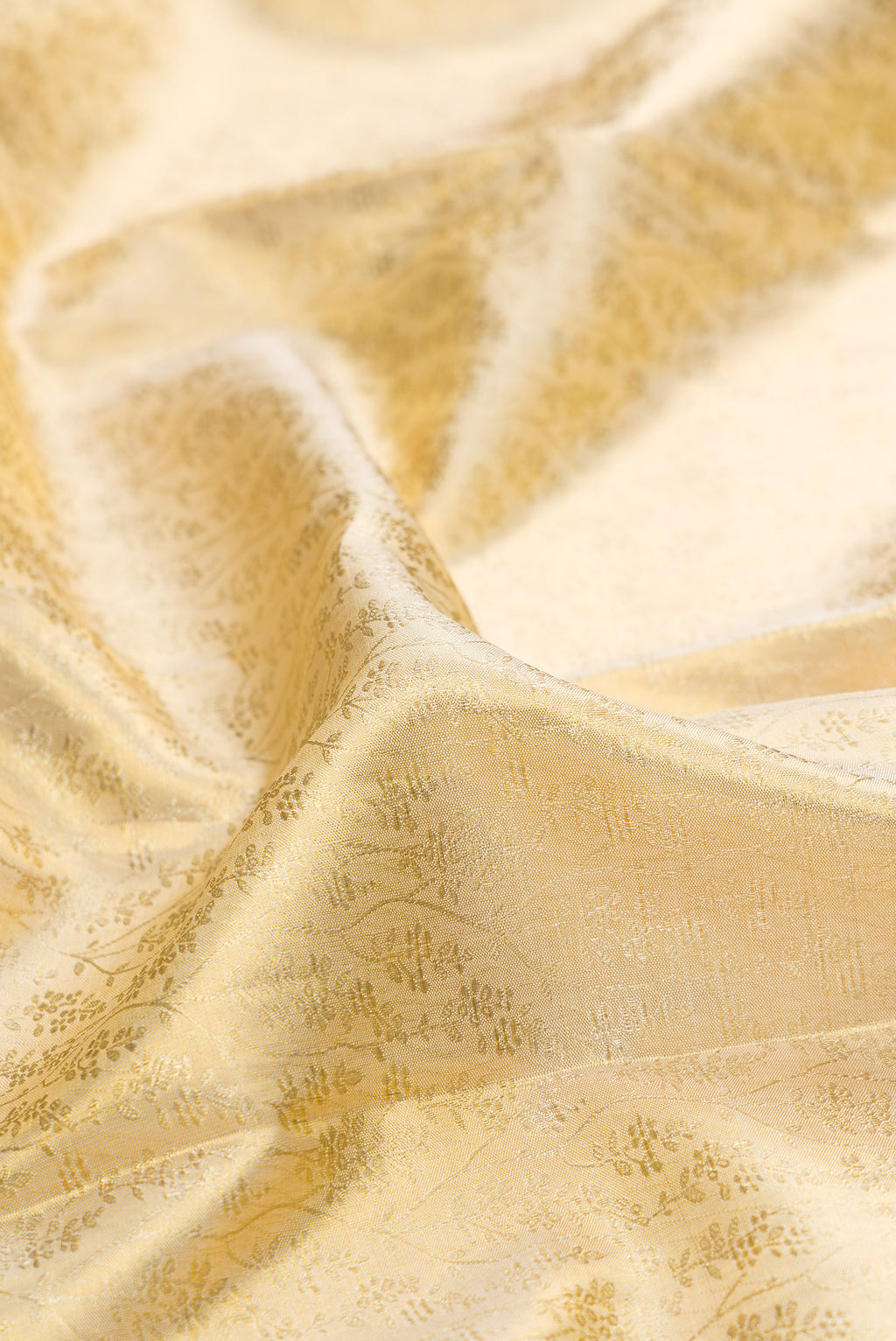Close up of Gold Dual Tone Kanchipuram Tissue Silk Saree with Zari Brocade on the body and Zari Border.  displaying folds