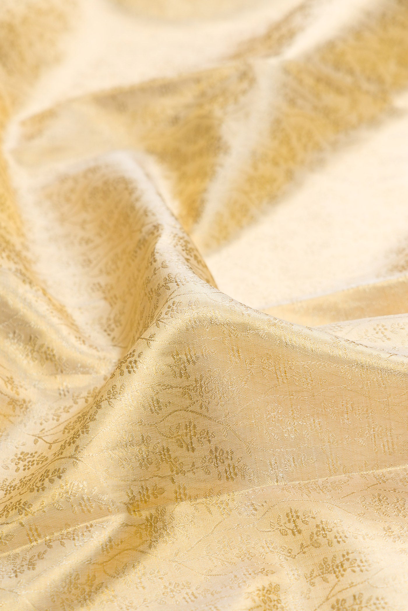 Close up of Gold Dual Tone Kanchipuram Tissue Silk Saree with Zari Brocade on the body and Zari Border.  displaying folds