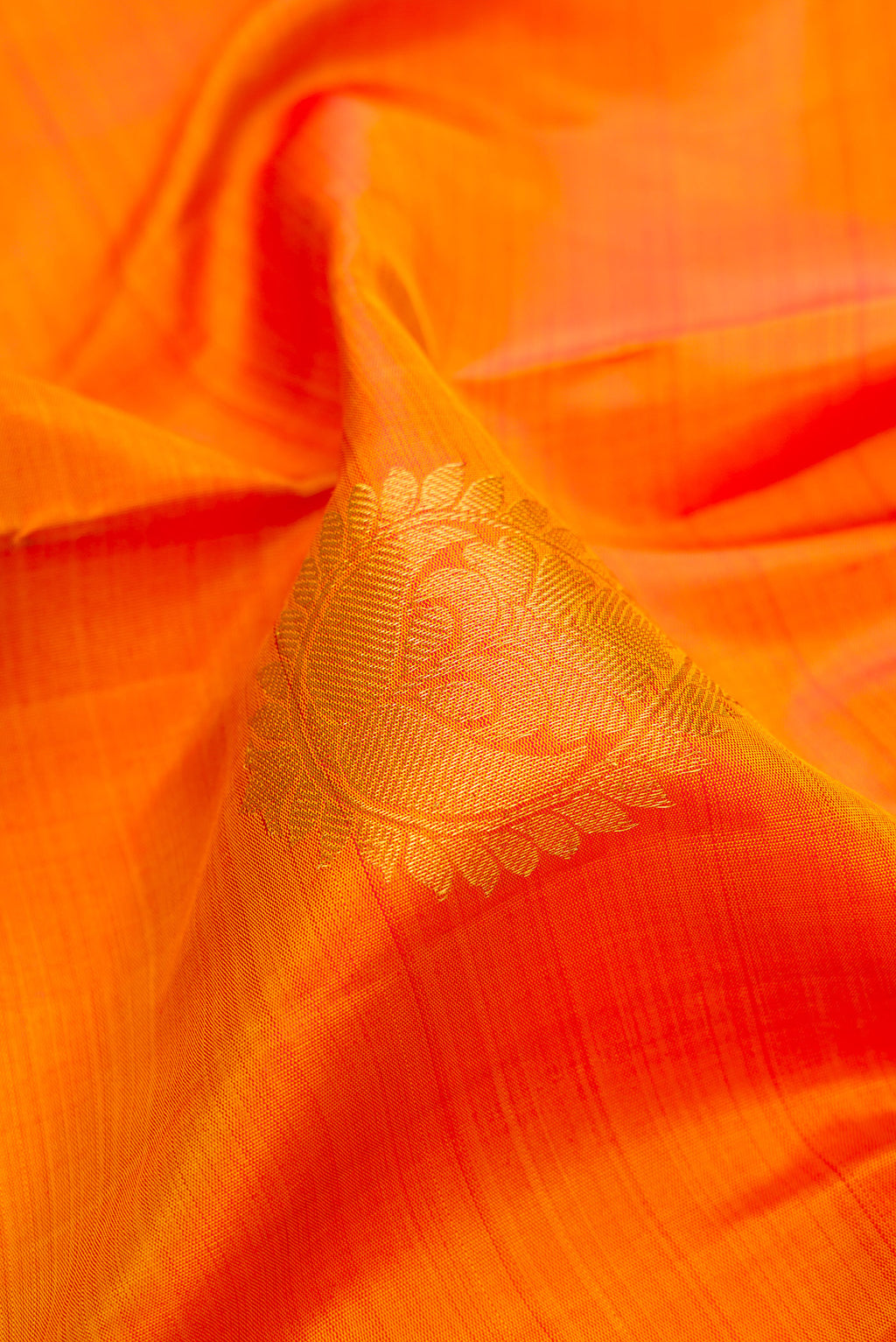 Close up of Mustard Kanjivaram Silk Saree with Zari Butta on the body and Zari Border.  displaying folds