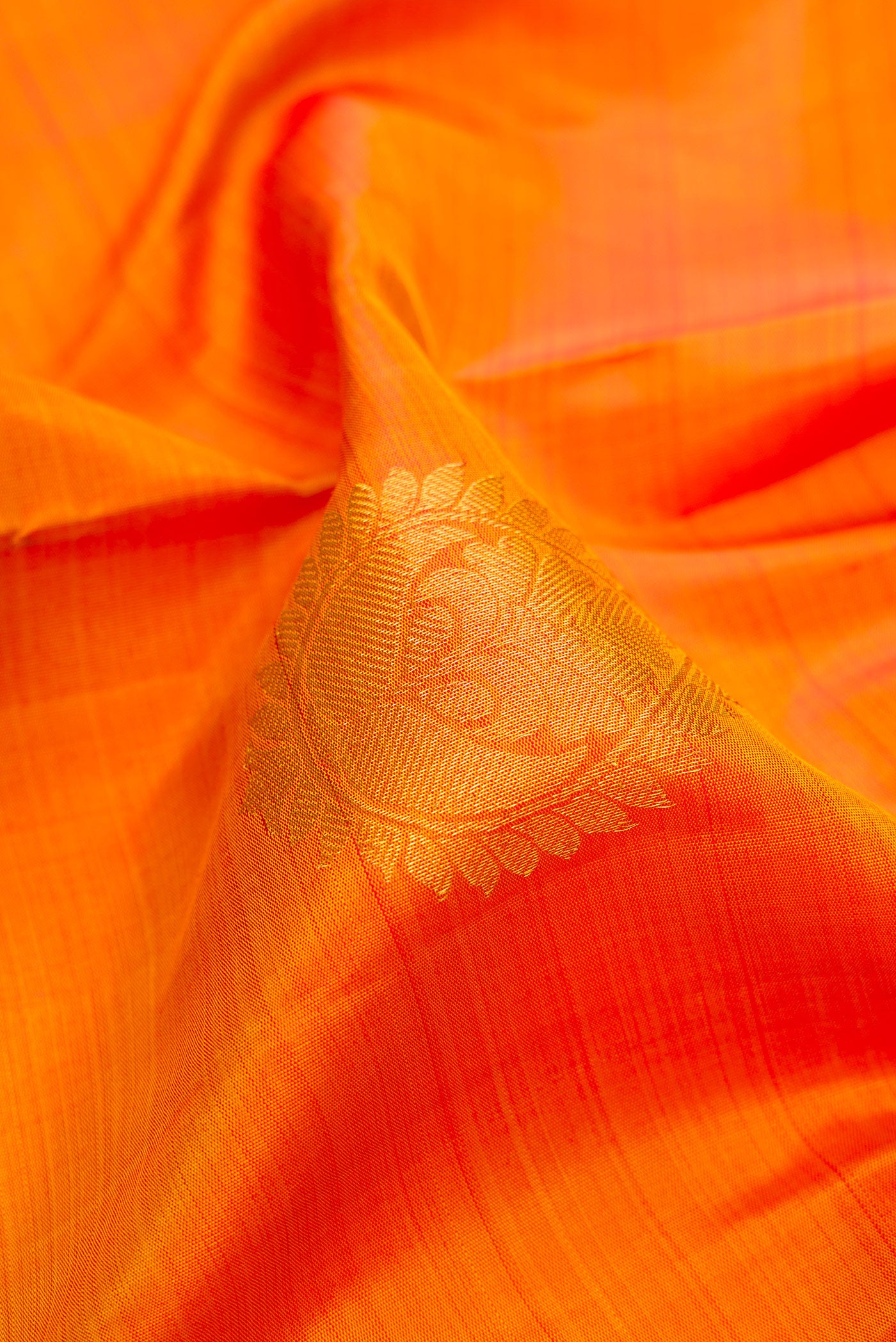 Close up of Mustard Kanjivaram Silk Saree with Zari Butta on the body and Zari Border.  displaying folds