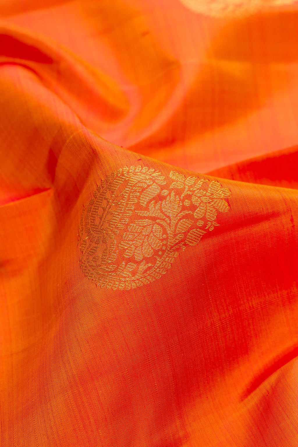 Close up of Mustard Kanjivaram Silk Saree with Zari Butta on the body and Zari Border.  displaying folds