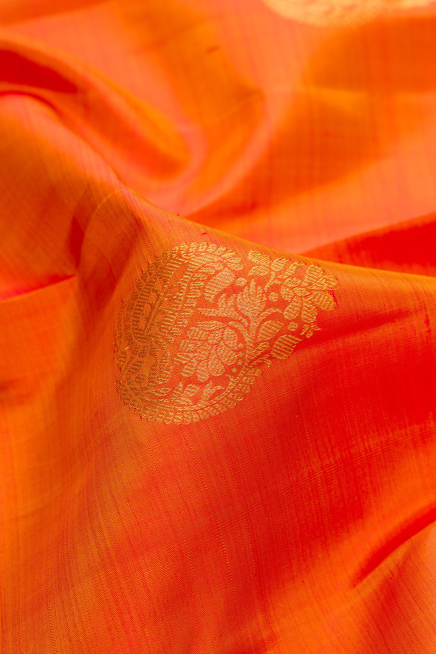 Close up of Mustard Kanjivaram Silk Saree with Zari Butta on the body and Zari Border.  displaying folds