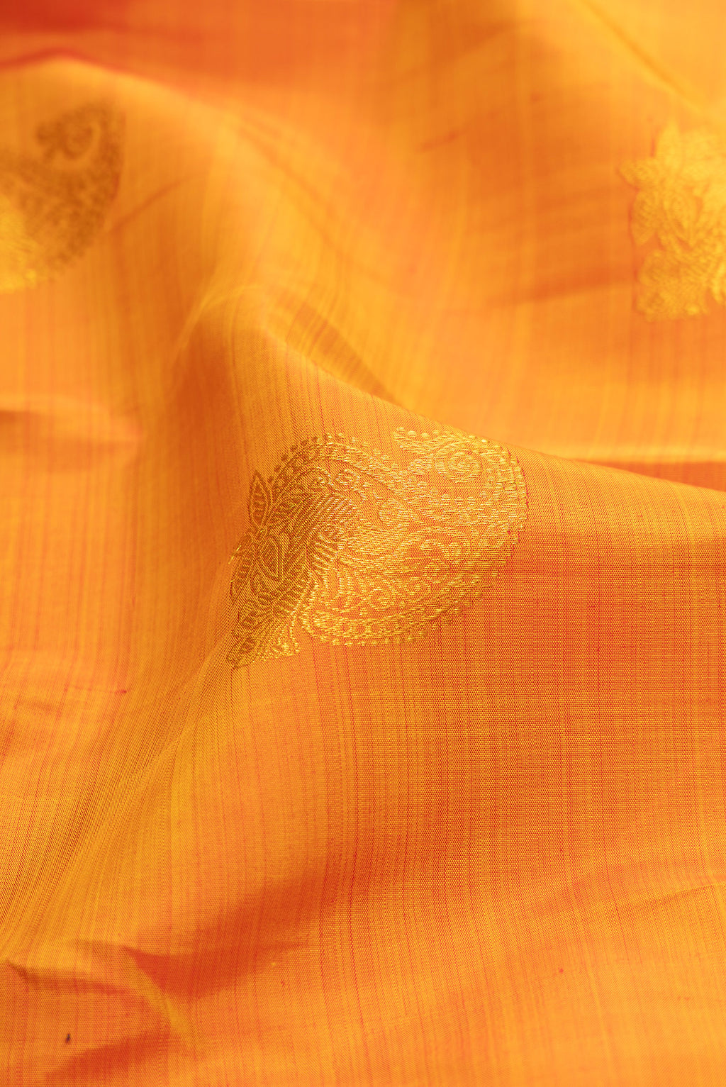 Close up of Mustard Kanjivaram Silk Saree with Zari Butta on the body and Zari Border.  displaying folds