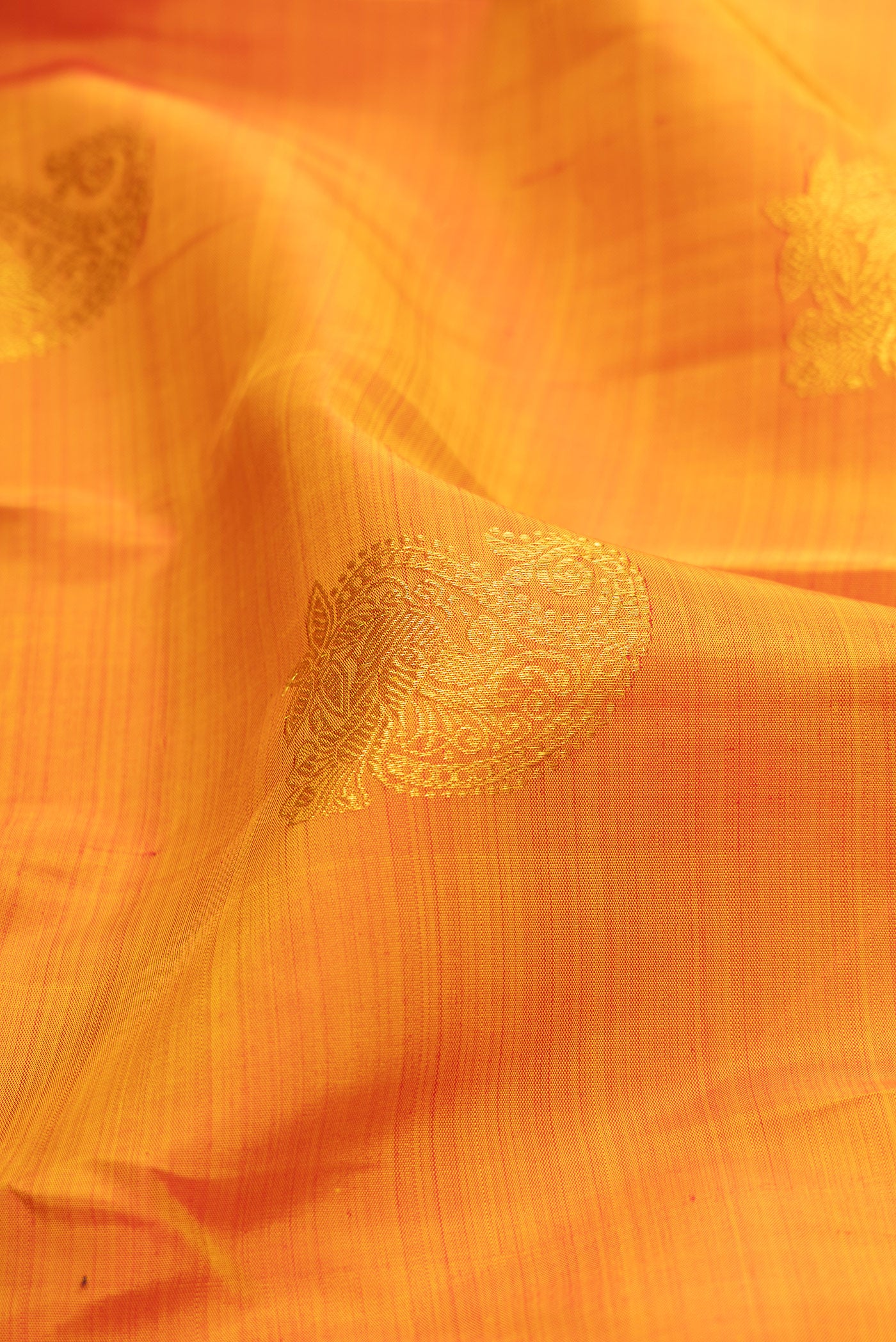 Close up of Mustard Kanjivaram Silk Saree with Zari Butta on the body and Zari Border.  displaying folds