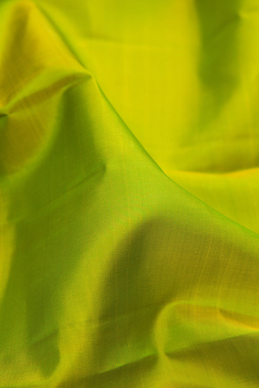 Close up of Parrot Green Kanjivaram Silk Saree with Plain Body and Zari Border.  displaying folds