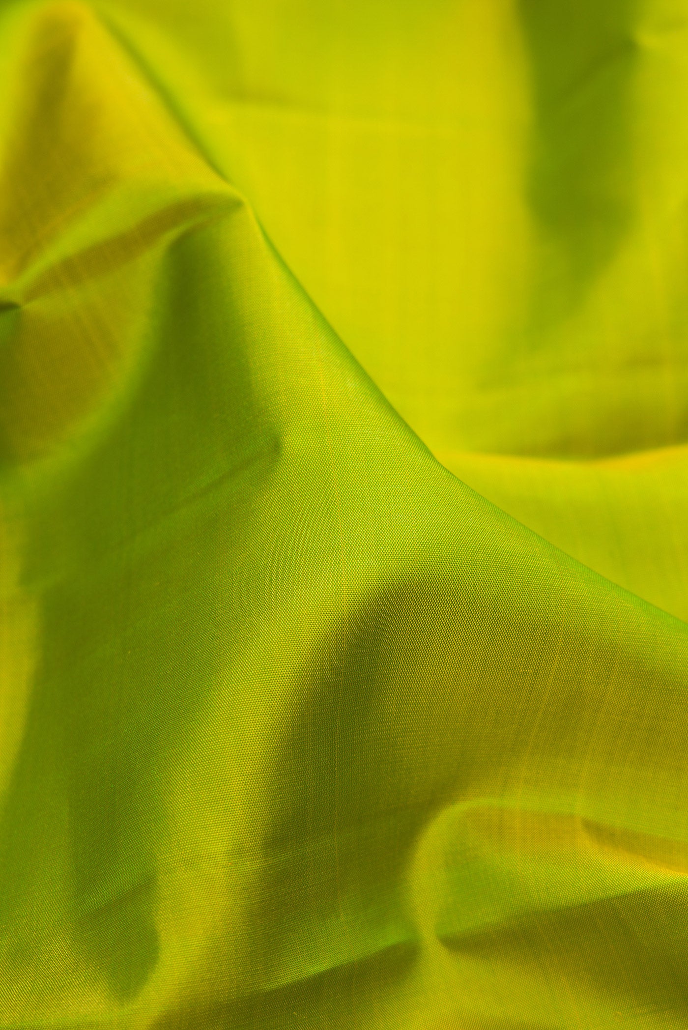 Close up of Parrot Green Kanjivaram Silk Saree with Plain Body and Zari Border.  displaying folds