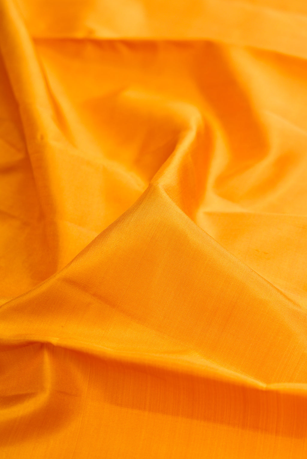 Close up of Mustard Kanjivaram Silk Saree with Plain Body and Zari Border.  displaying folds