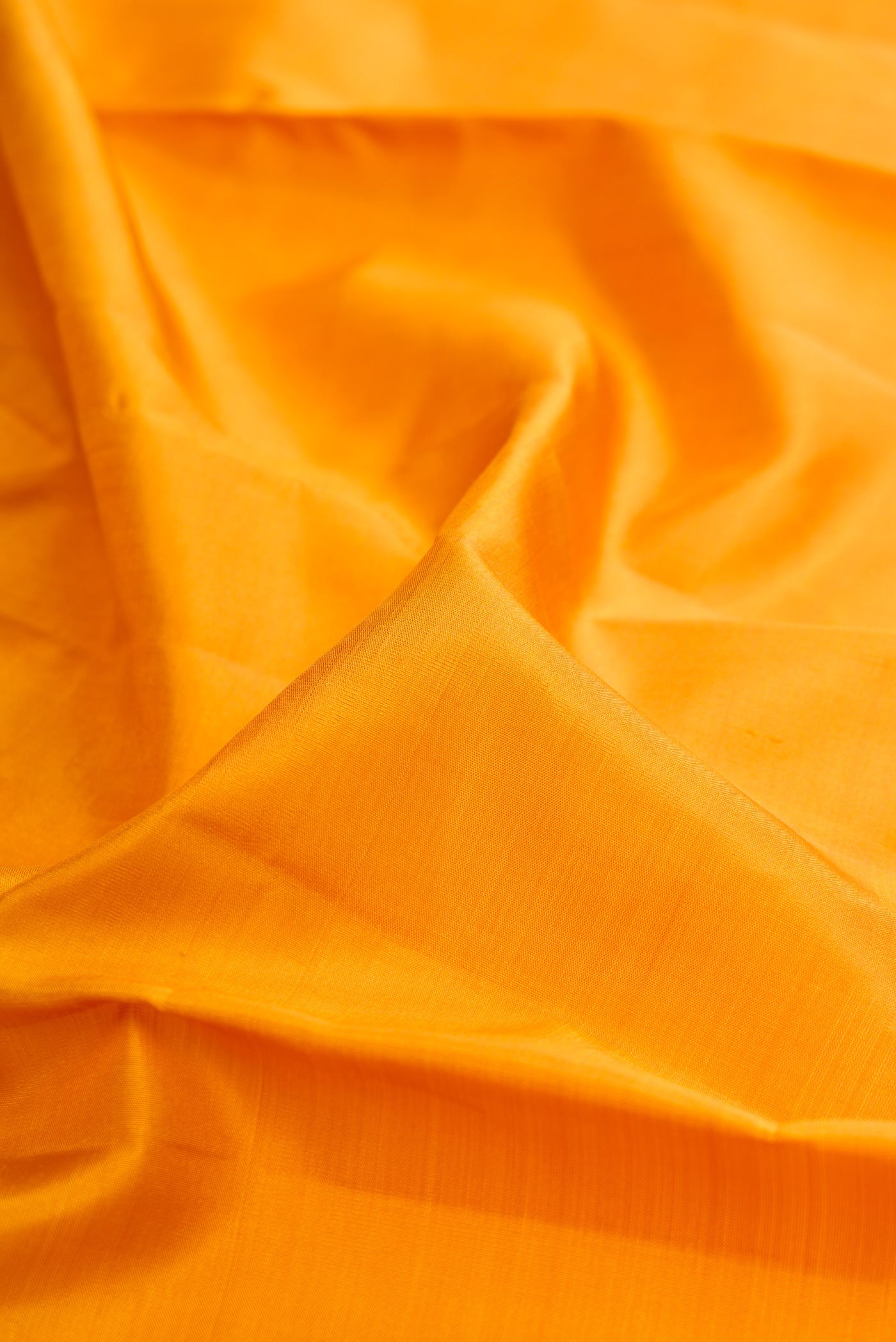 Close up of Mustard Kanjivaram Silk Saree with Plain Body and Zari Border.  displaying folds