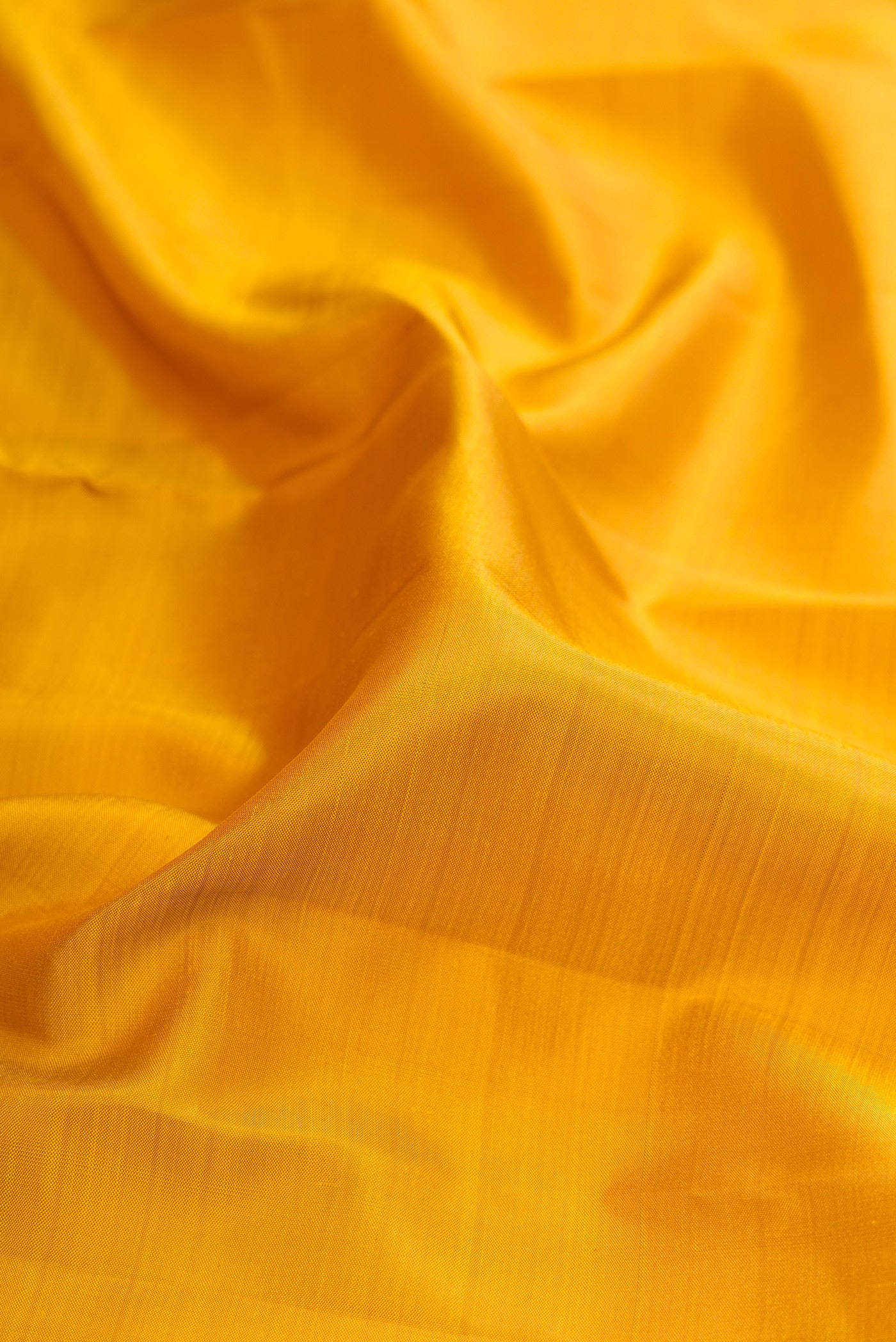 Close up of Mustard Kanjivaram Silk Saree with Plain Body and Zari Border.  displaying folds