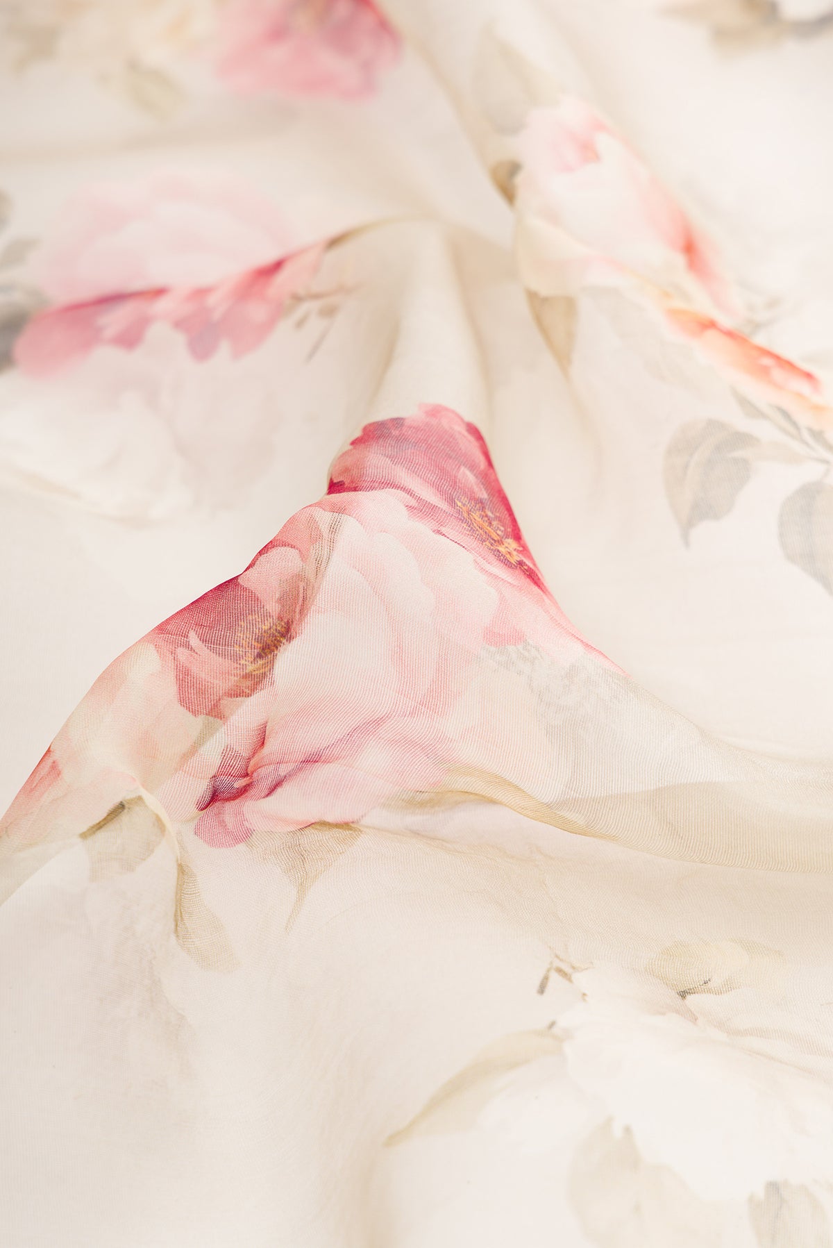 Close up of Beige Organza Saree with Printed design on the body and Zari Border.  displaying folds